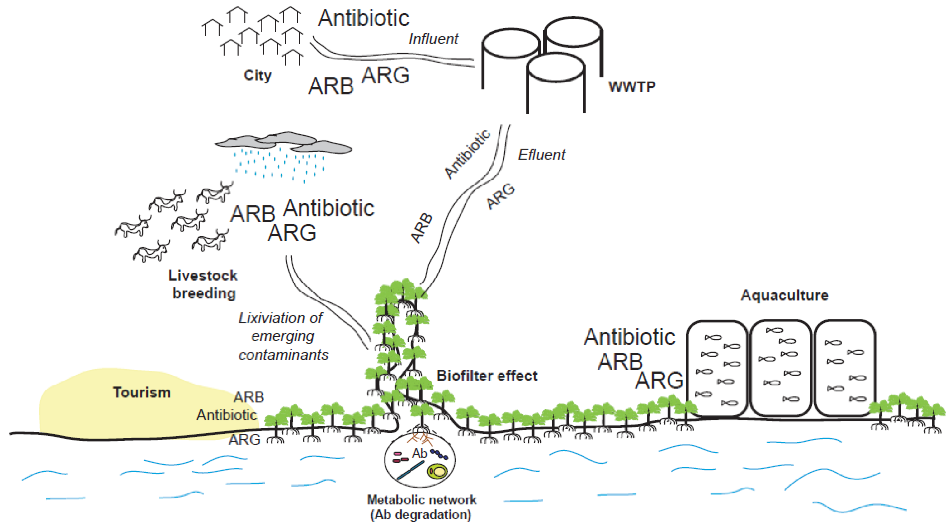 Antibiotics 10 01103 g002