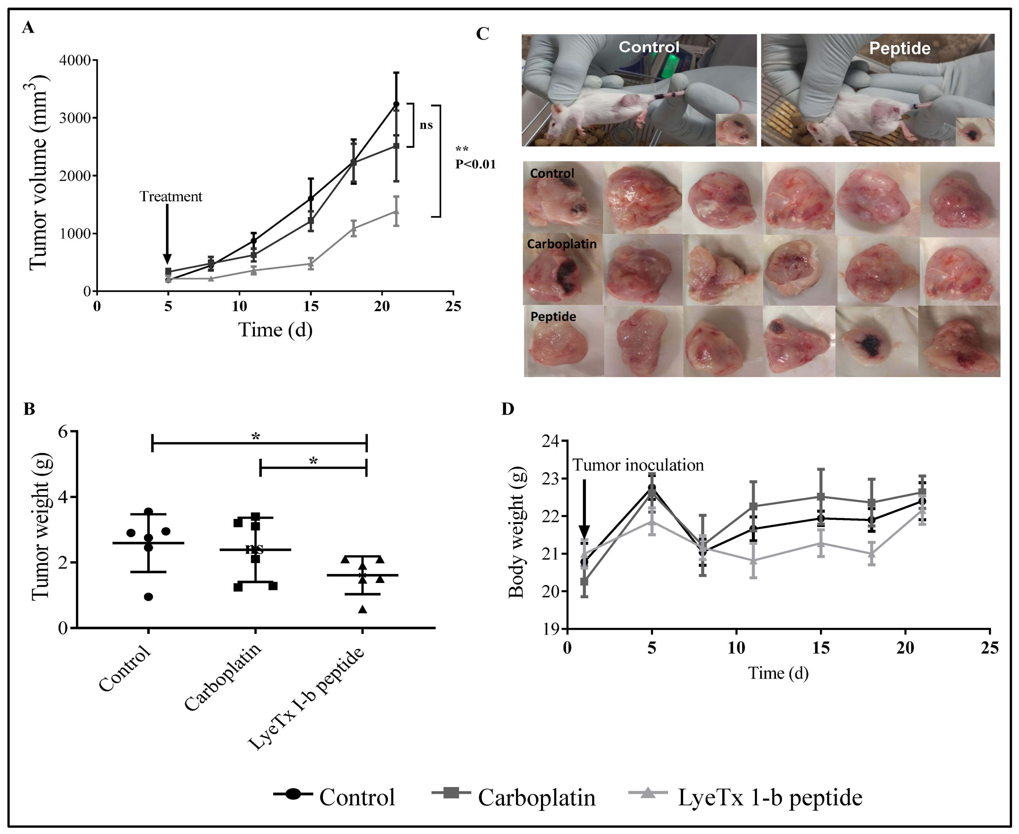 Antibiotics 10 01136 g007