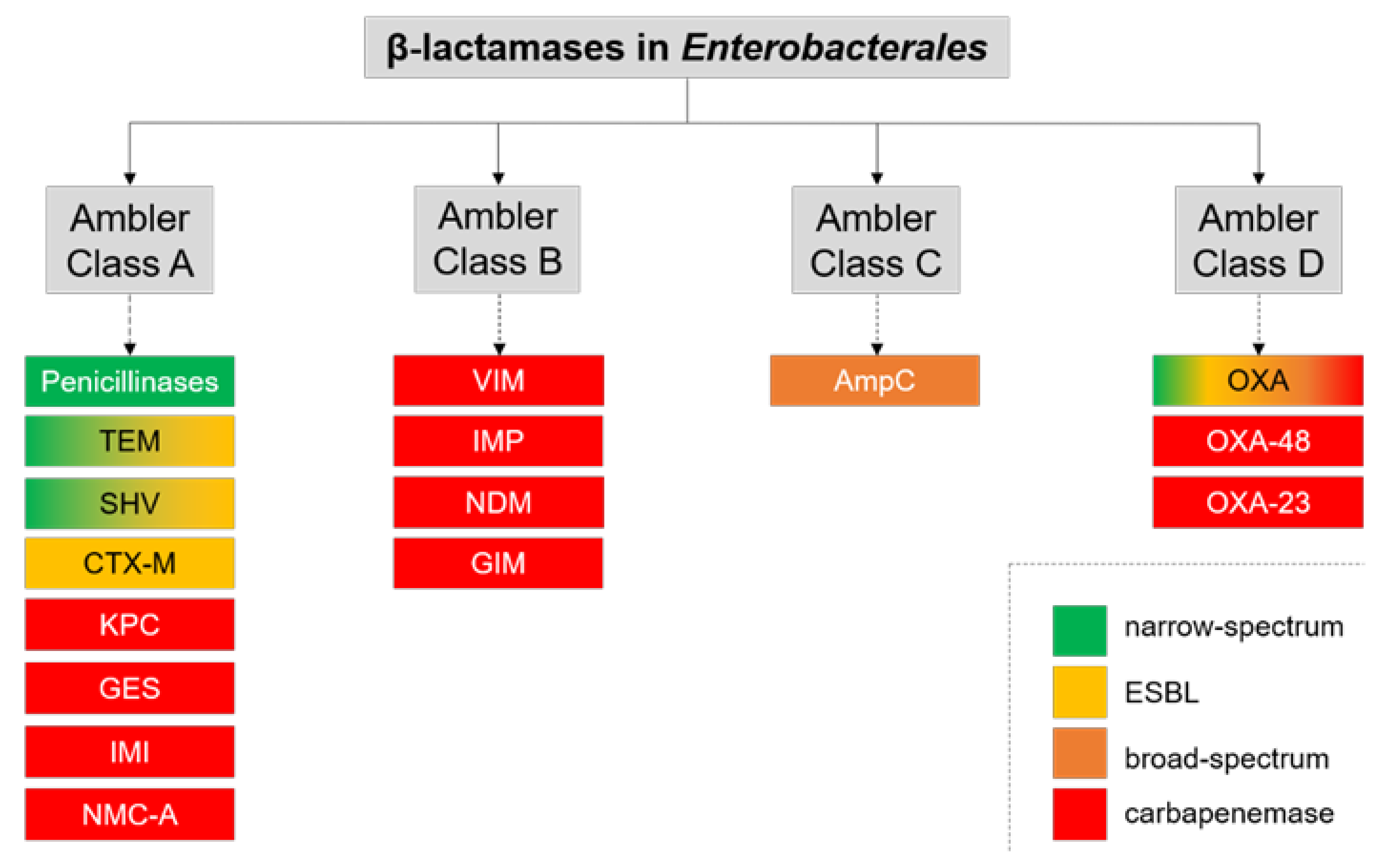 Antibiotics 10 01140 g001 Antibiotics 10 01140 g001