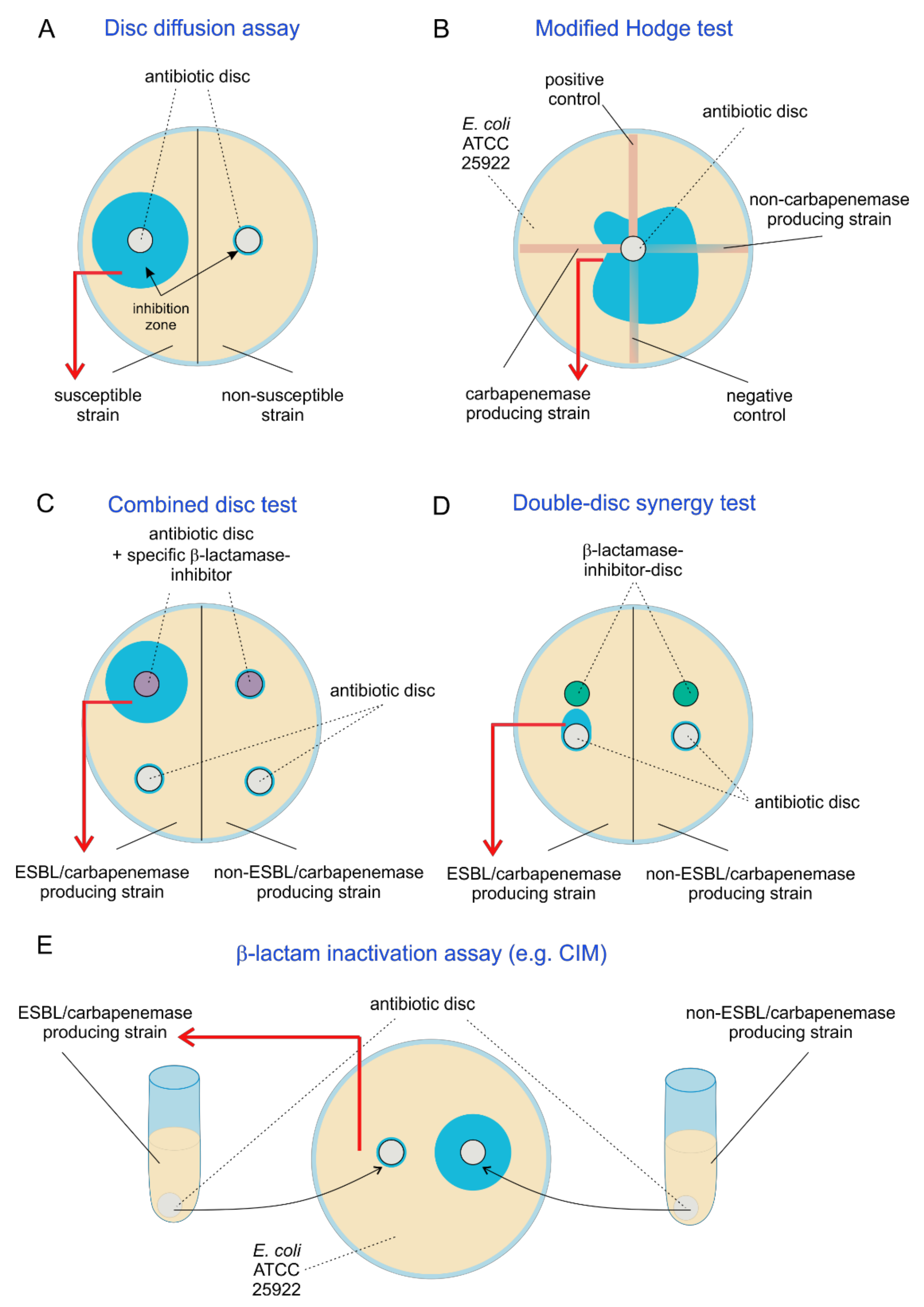 Antibiotics 10 01140 g002 Antibiotics 10 01140 g002