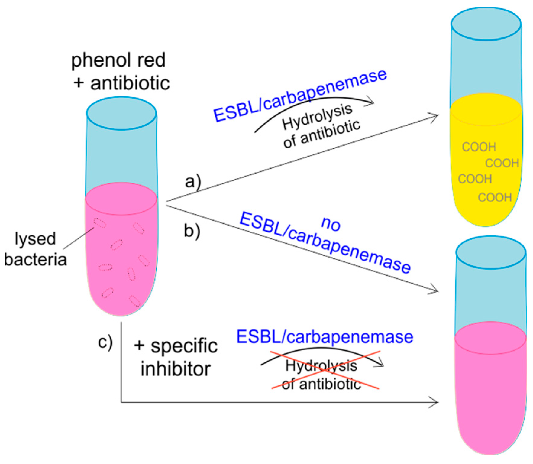 Antibiotics 10 01140 g003 Antibiotics 10 01140 g003