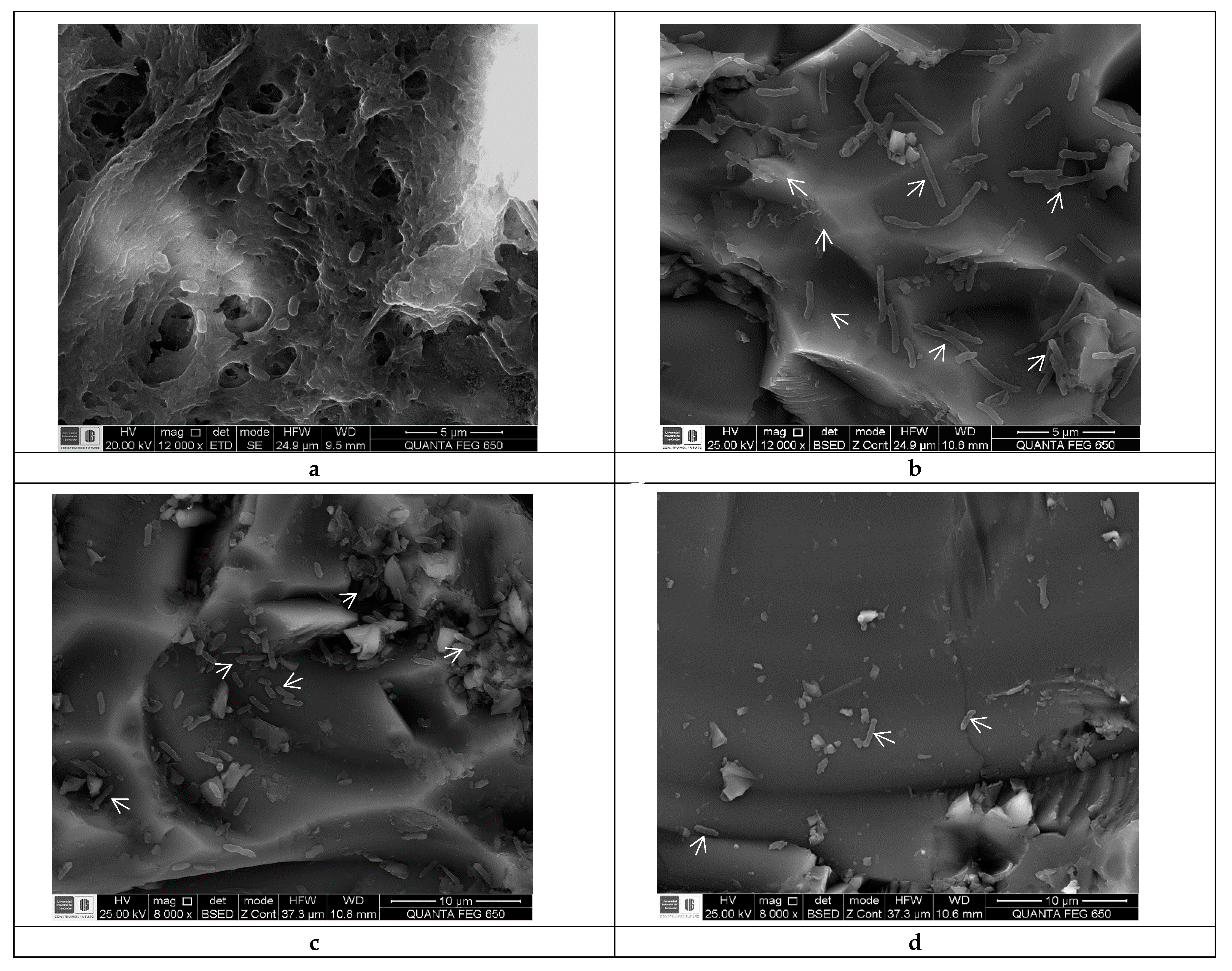 Antibiotics 10 01191 g002