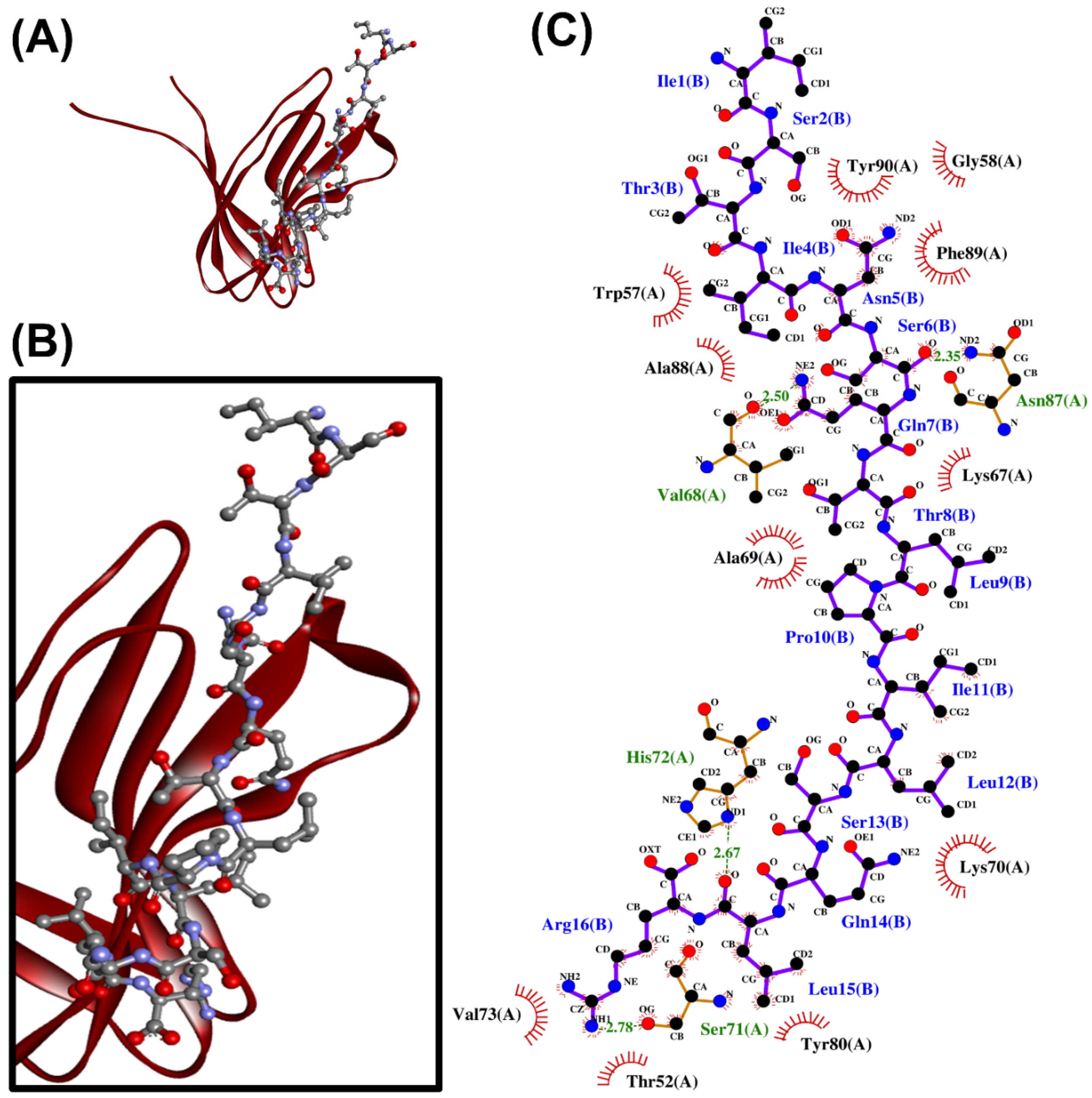 Antibiotics 10 01211 g001