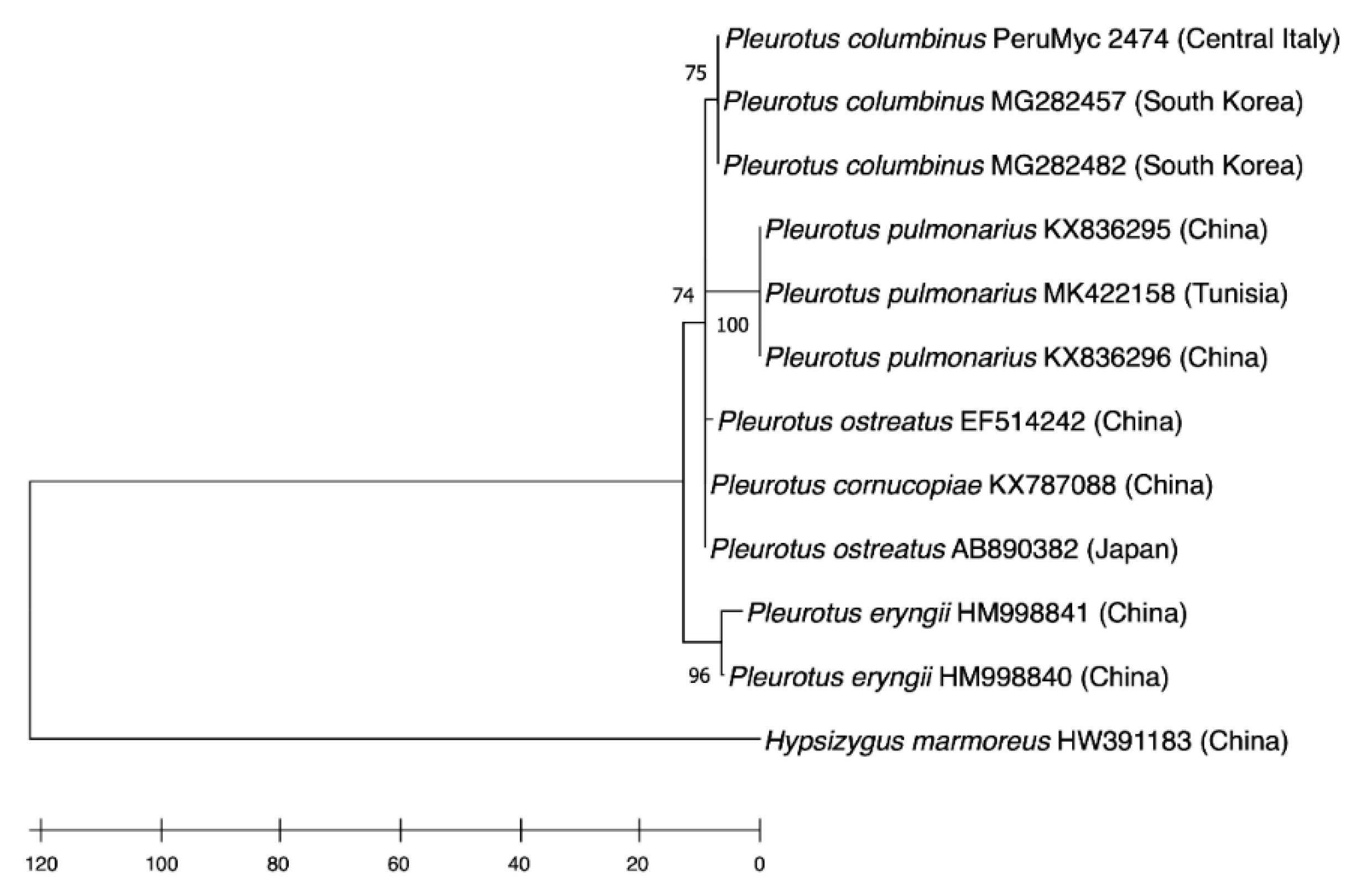 Antibiotics 10 01245 g001 Antibiotics 10 01245 g001