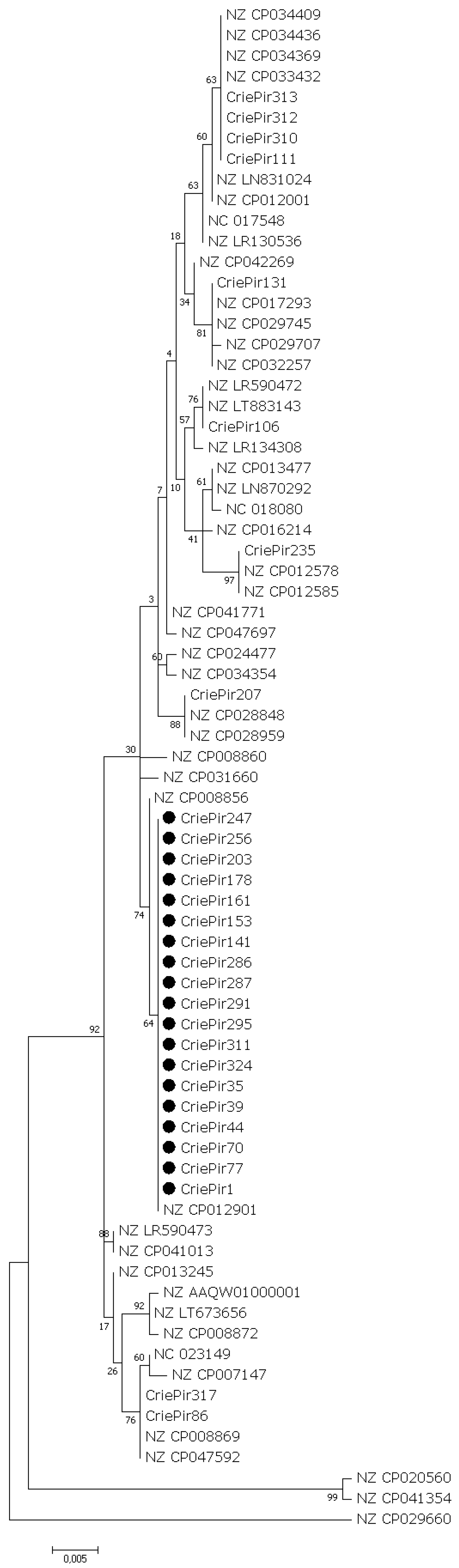 Antibiotics 10 01301 g003