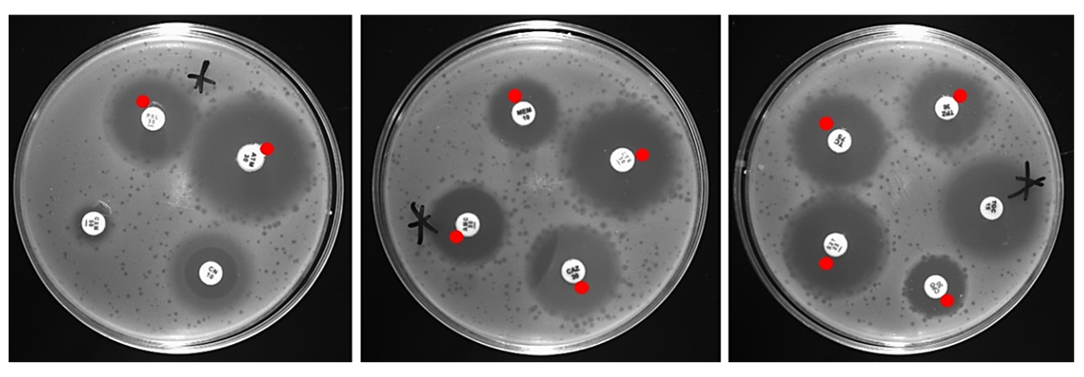 Antibiotics 10 01306 g001 Antibiotics 10 01306 g001