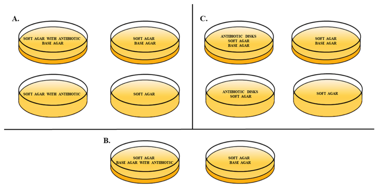 Antibiotics 10 01306 g005 Antibiotics 10 01306 g005