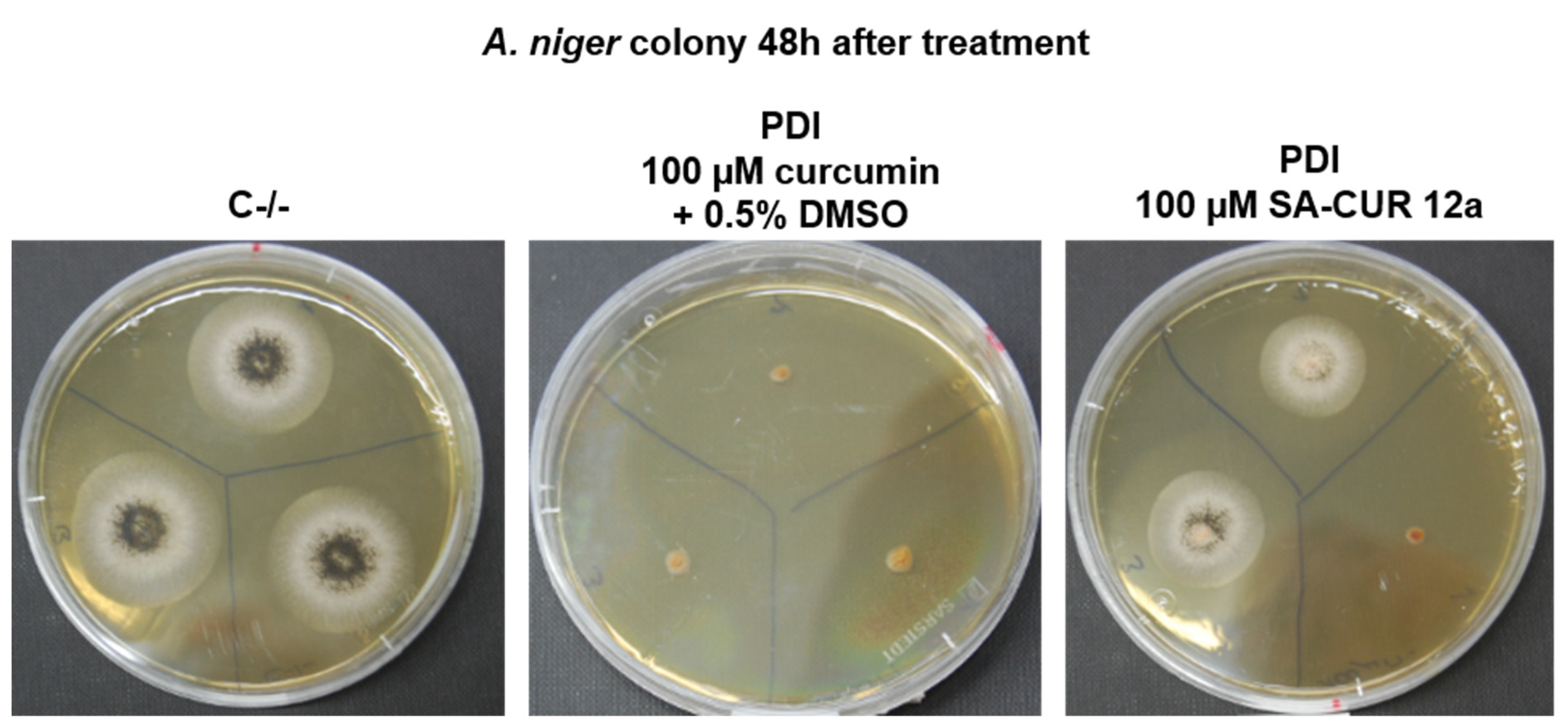 Antibiotics 10 01315 g005