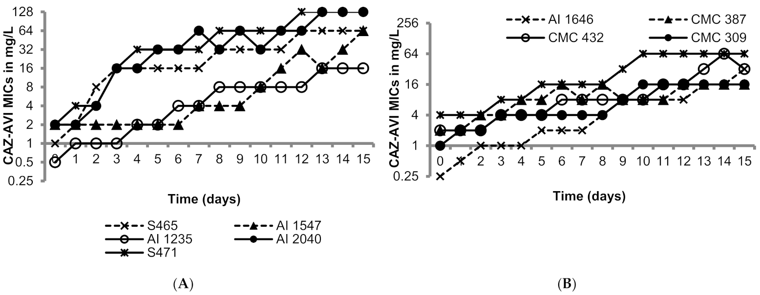Antibiotics 10 01318 g001