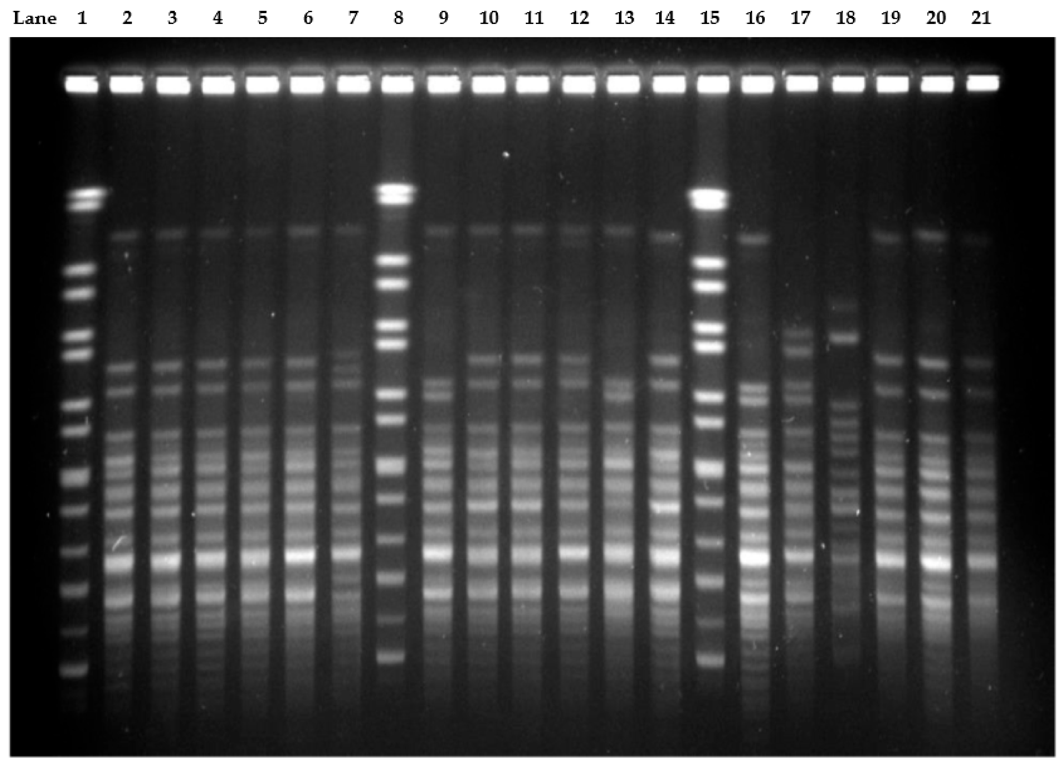 Antibiotics 10 01340 g002
