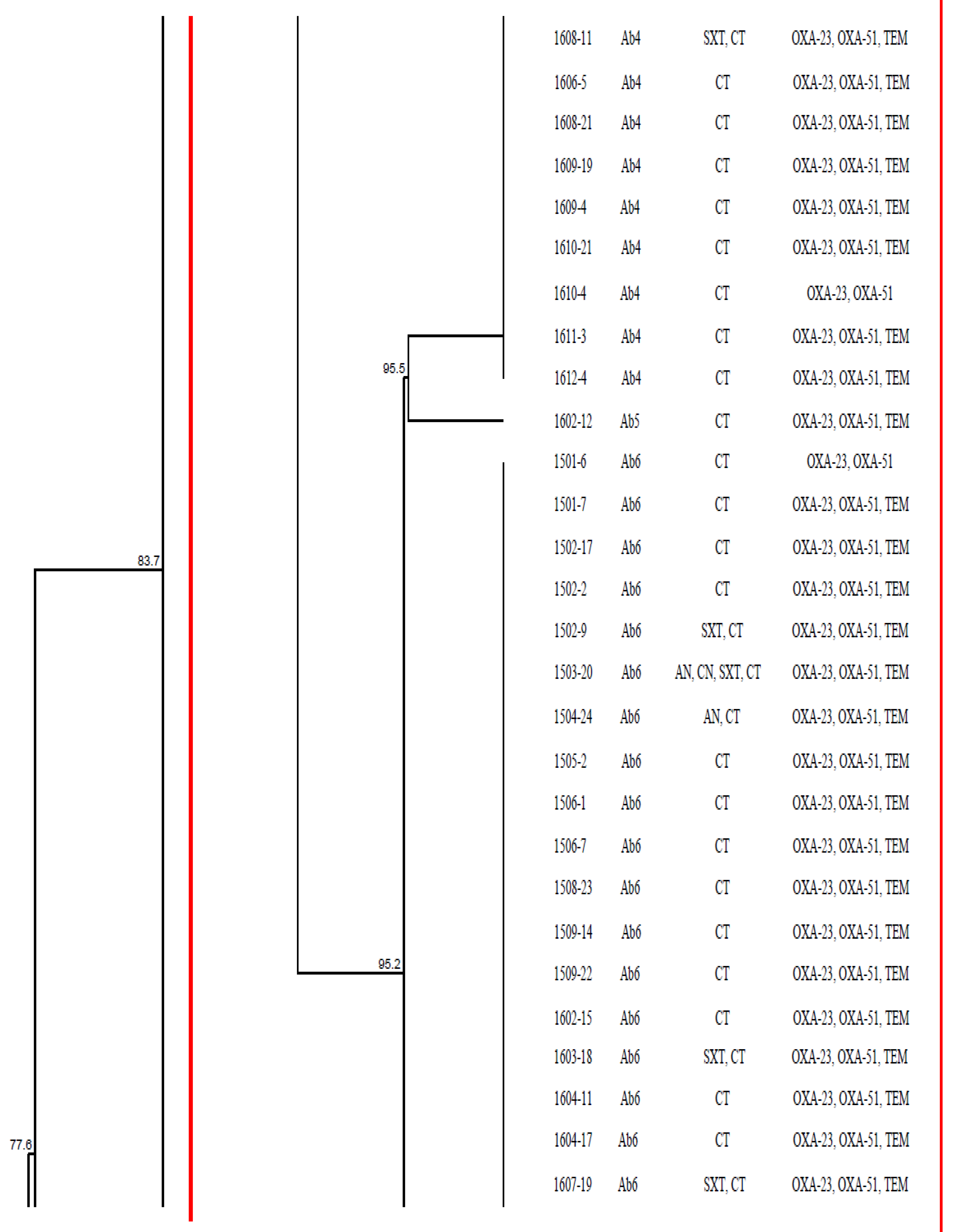 Antibiotics 10 01340 g003c
