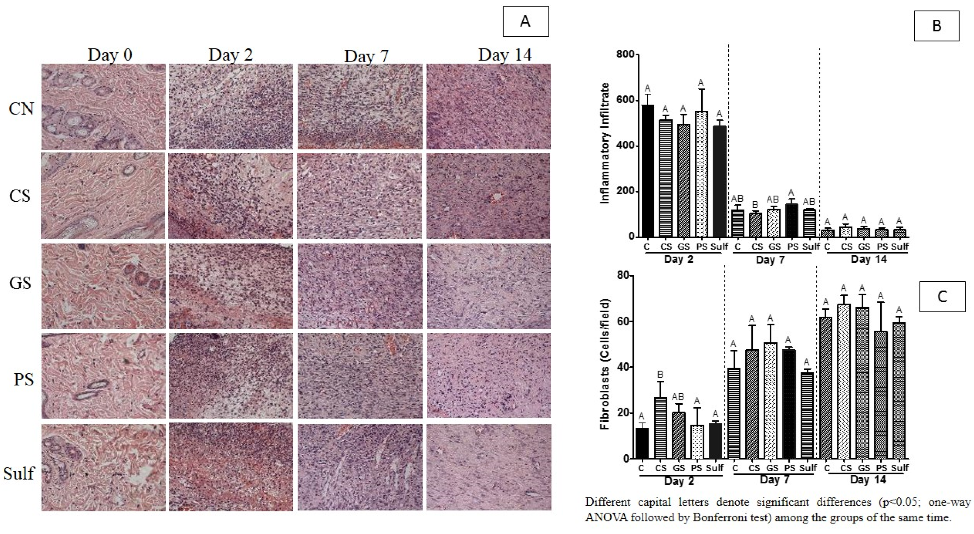 Antibiotics 10 01343 g003