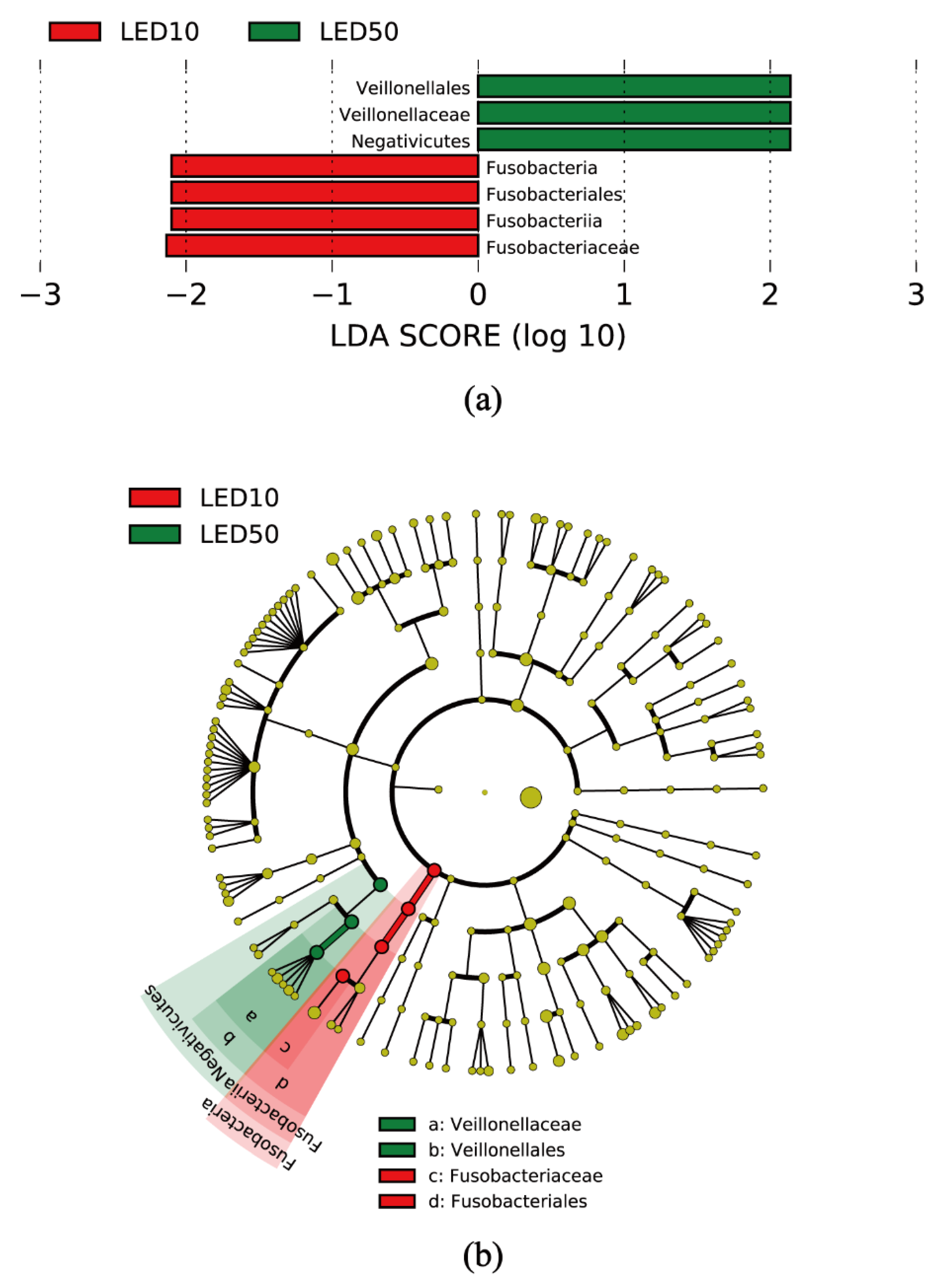Antibiotics 10 01348 g005