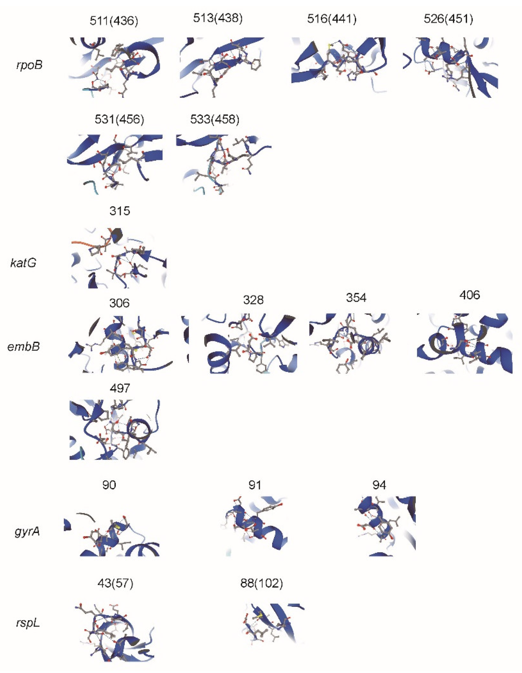 Antibiotics 10 01367 g002