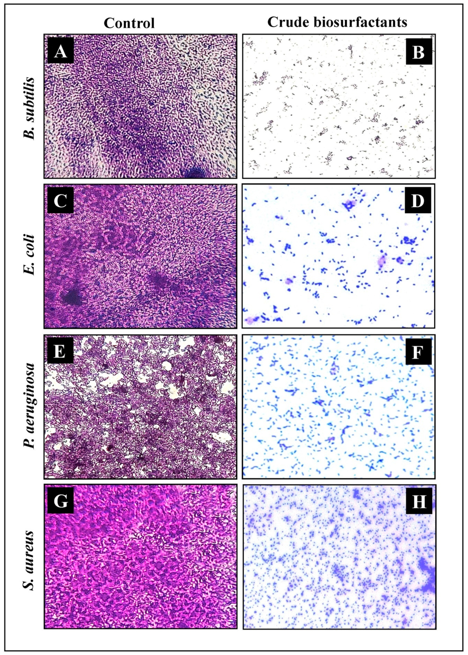 Antibiotics 10 01371 g007