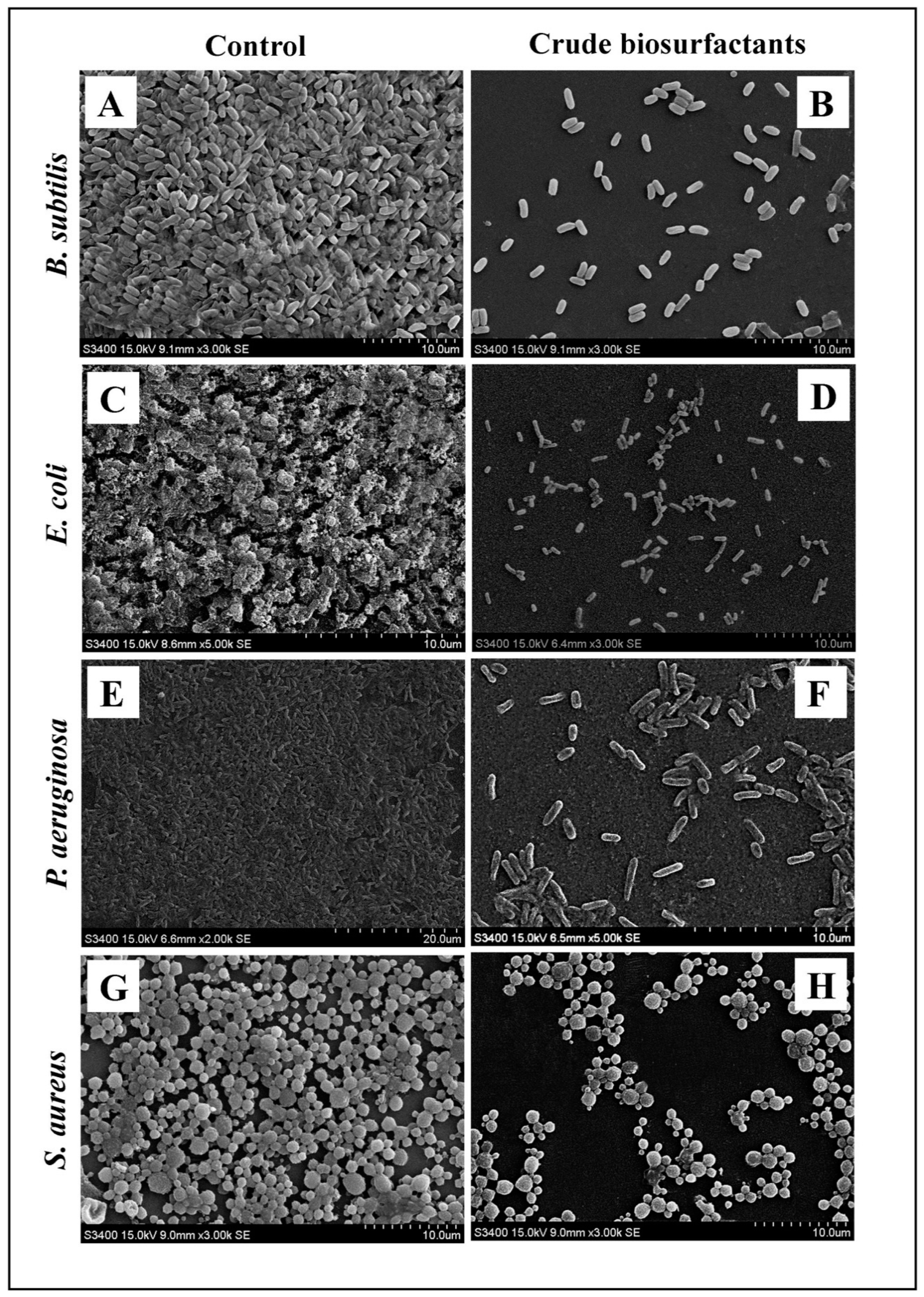 Antibiotics 10 01371 g008
