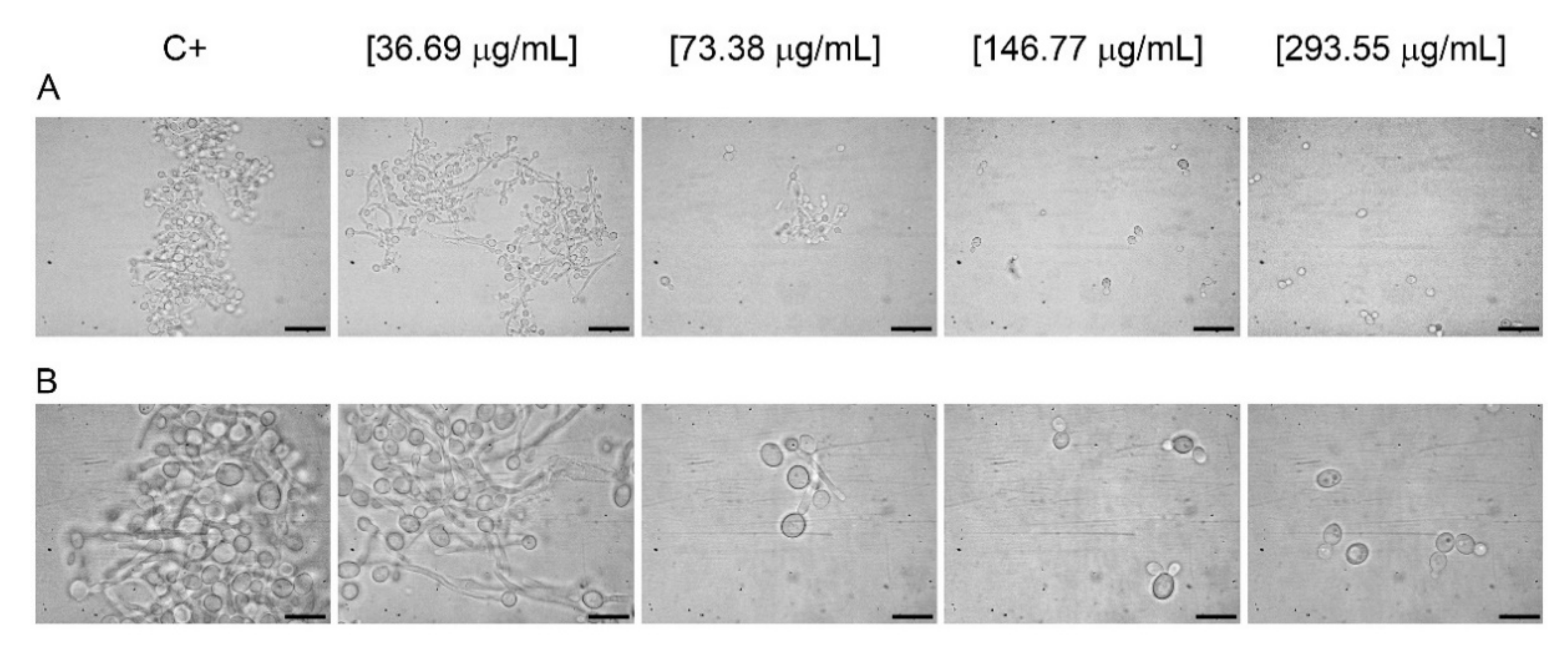 Antibiotics 10 01373 g002