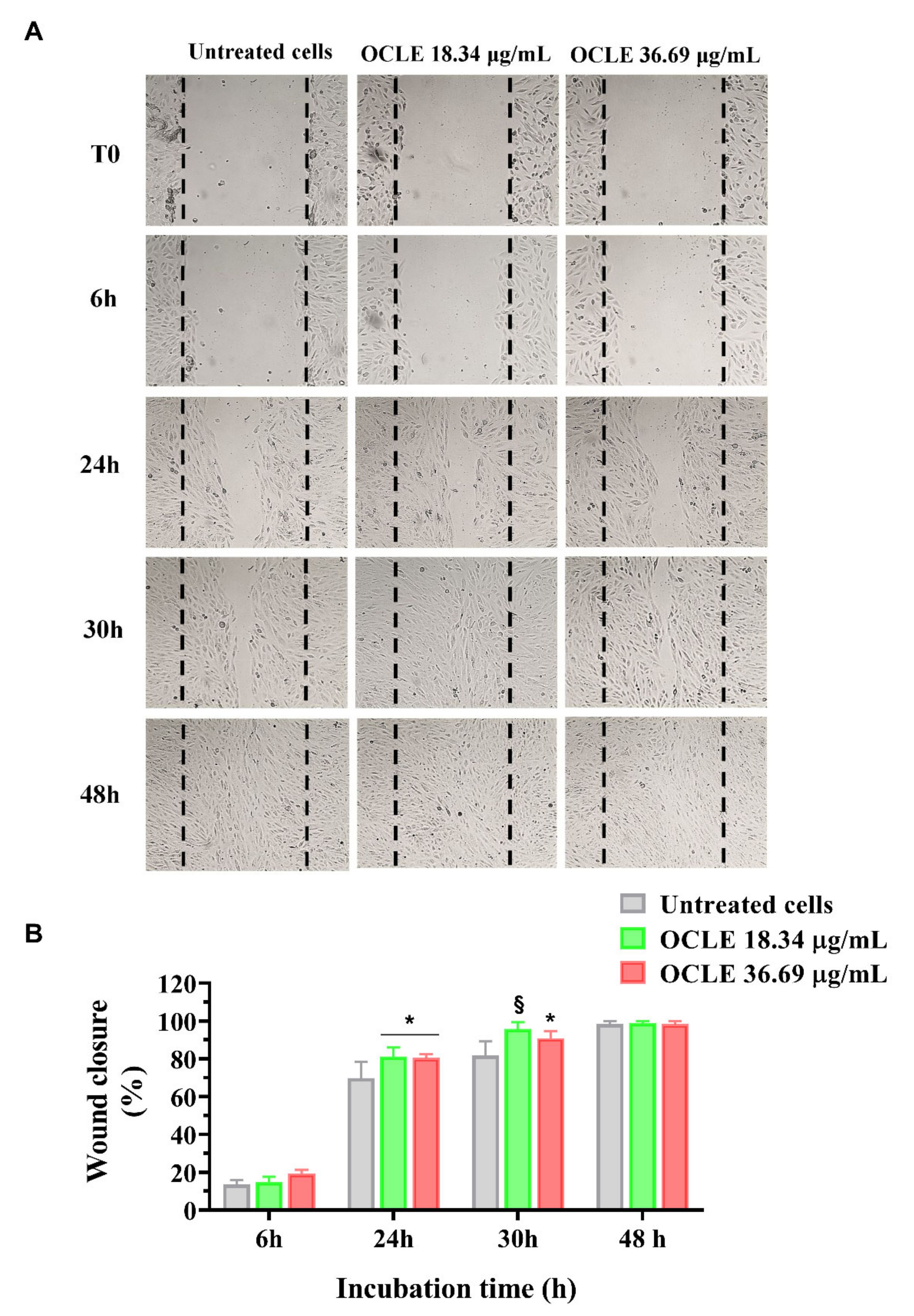 Antibiotics 10 01373 g004