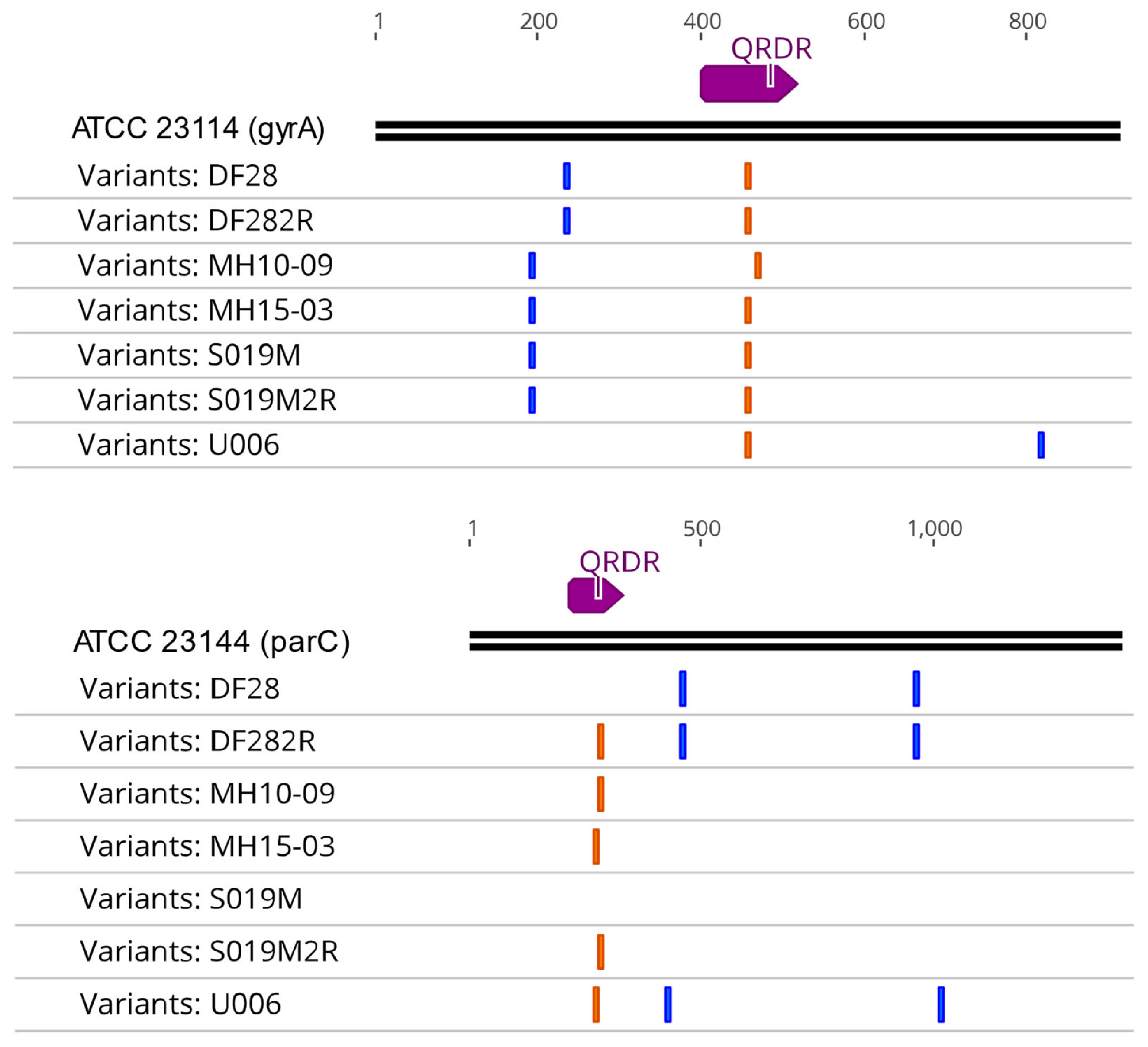 Antibiotics 10 01379 g001