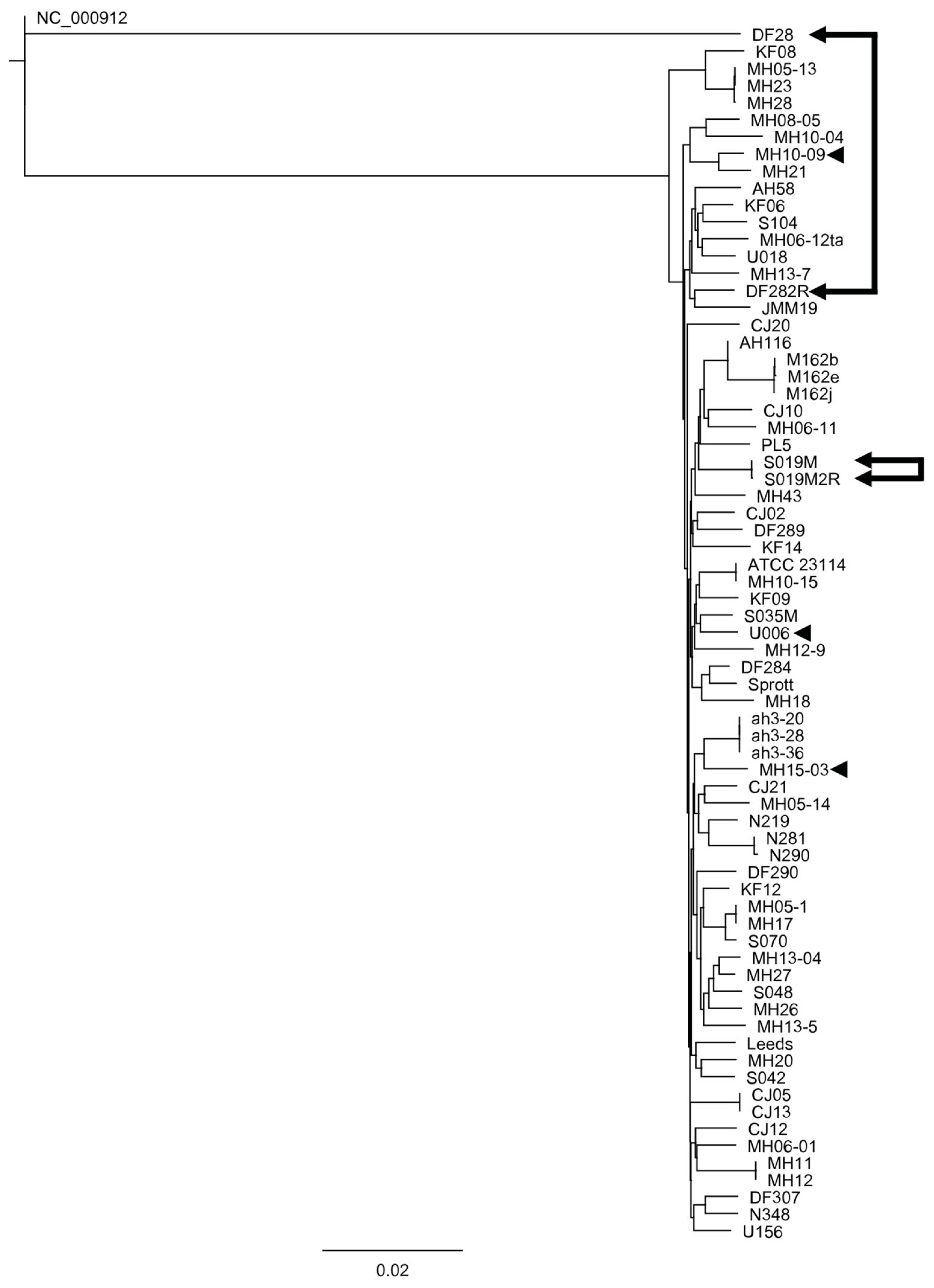 Antibiotics 10 01379 g003