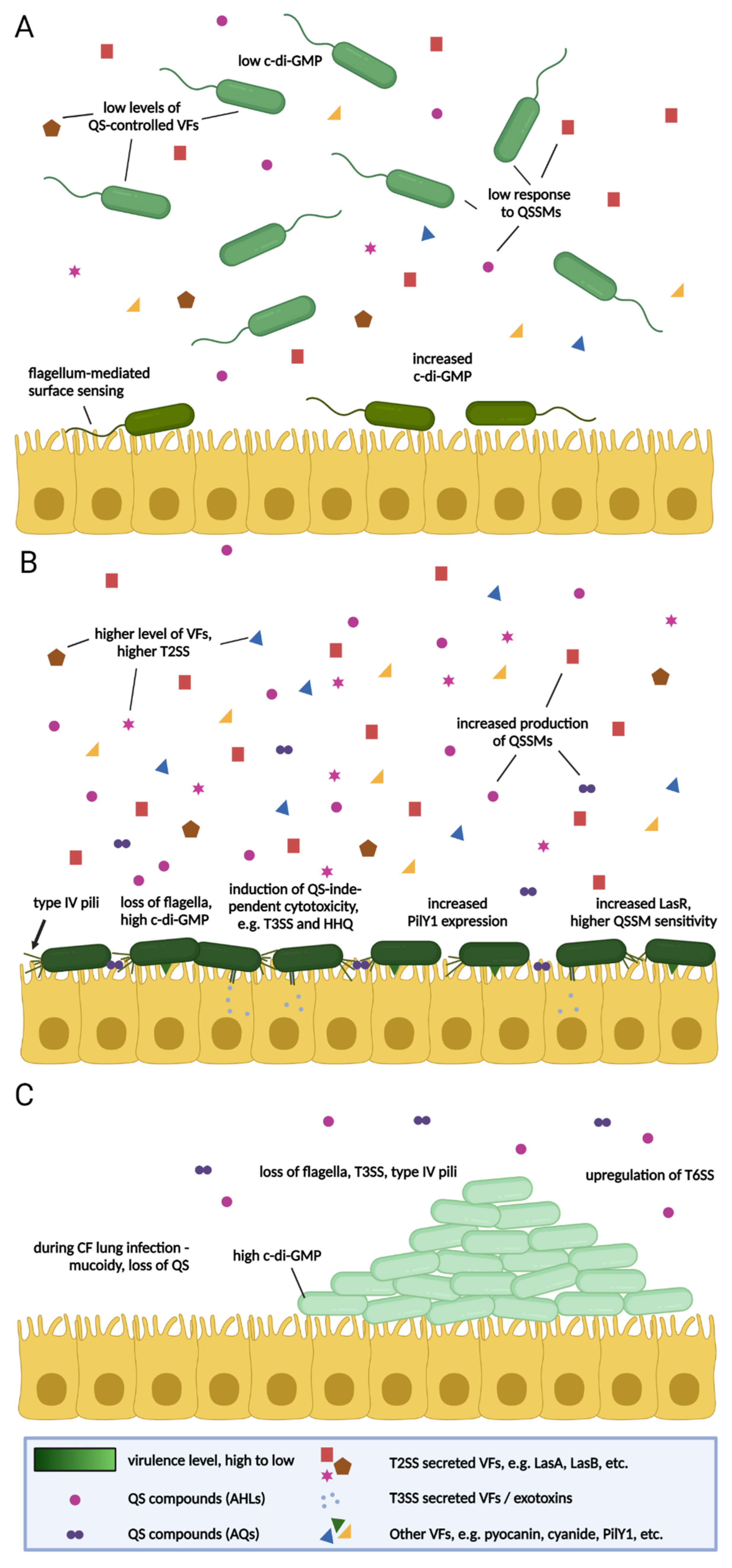 Antibiotics 10 01393 g001