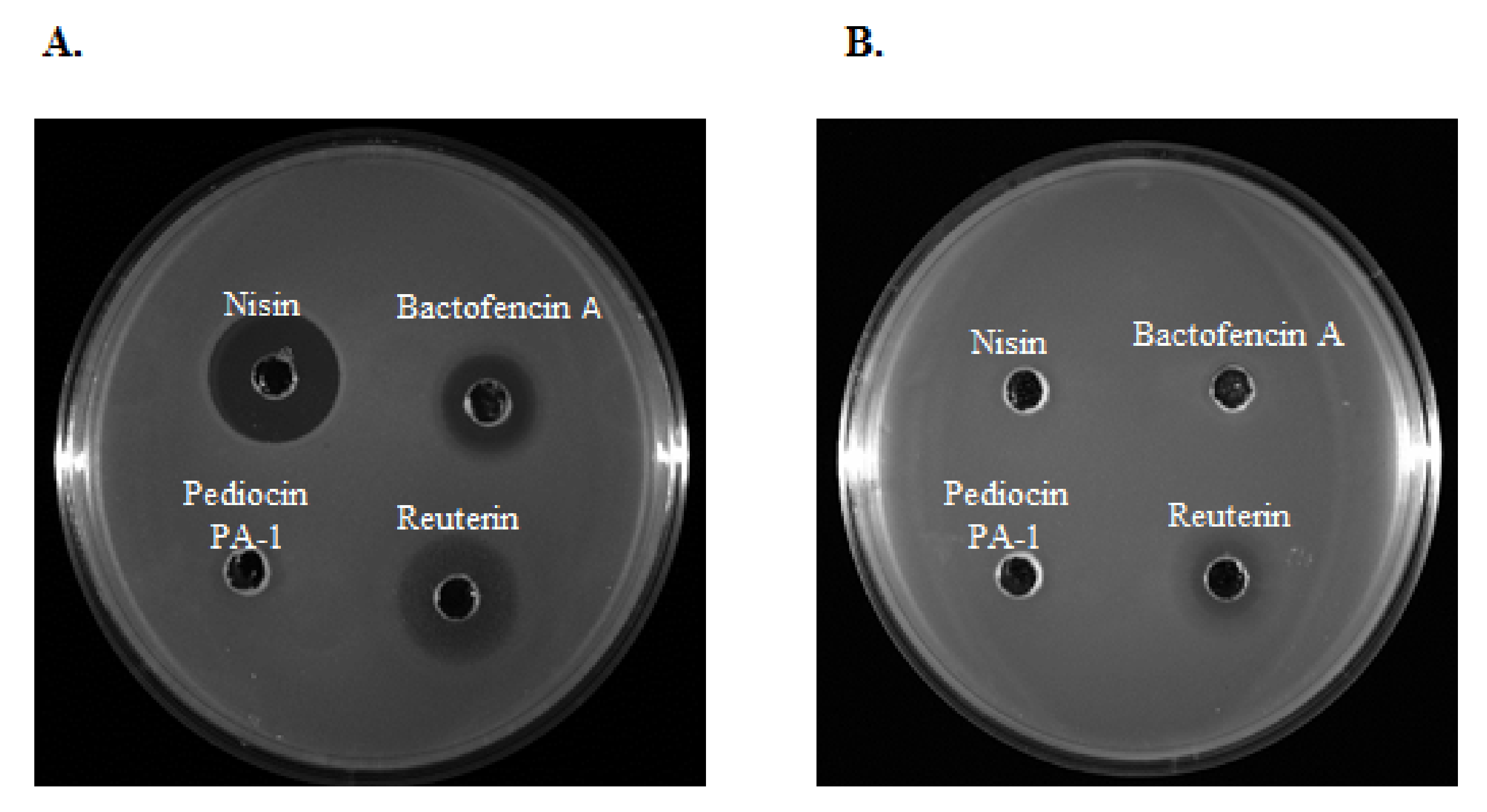 Antibiotics 10 01418 g002 Antibiotics 10 01418 g002