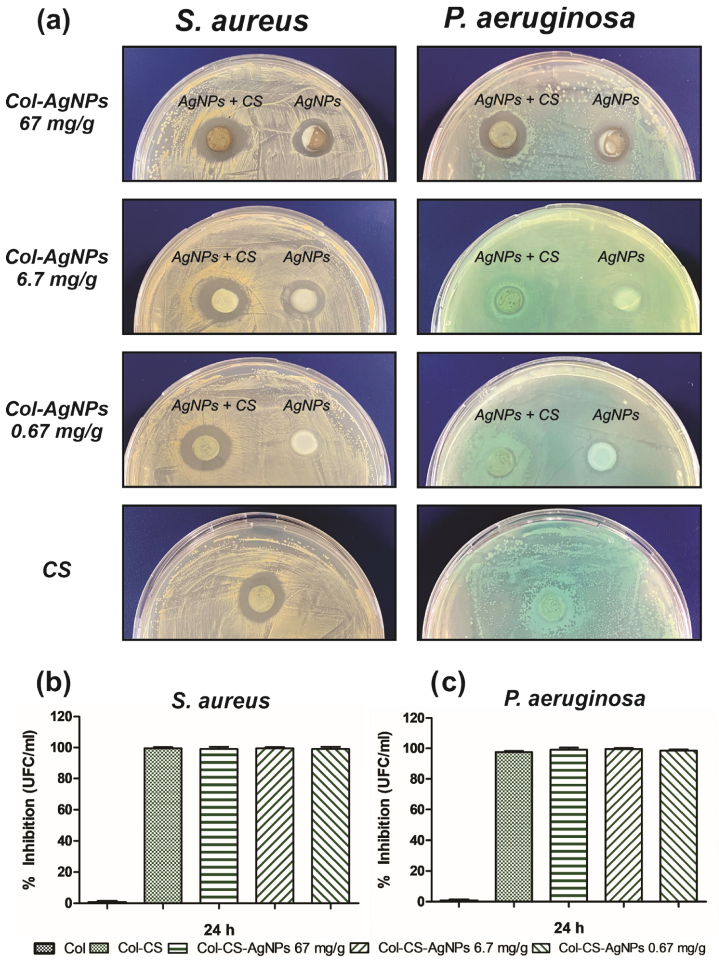 Antibiotics 10 01420 g009