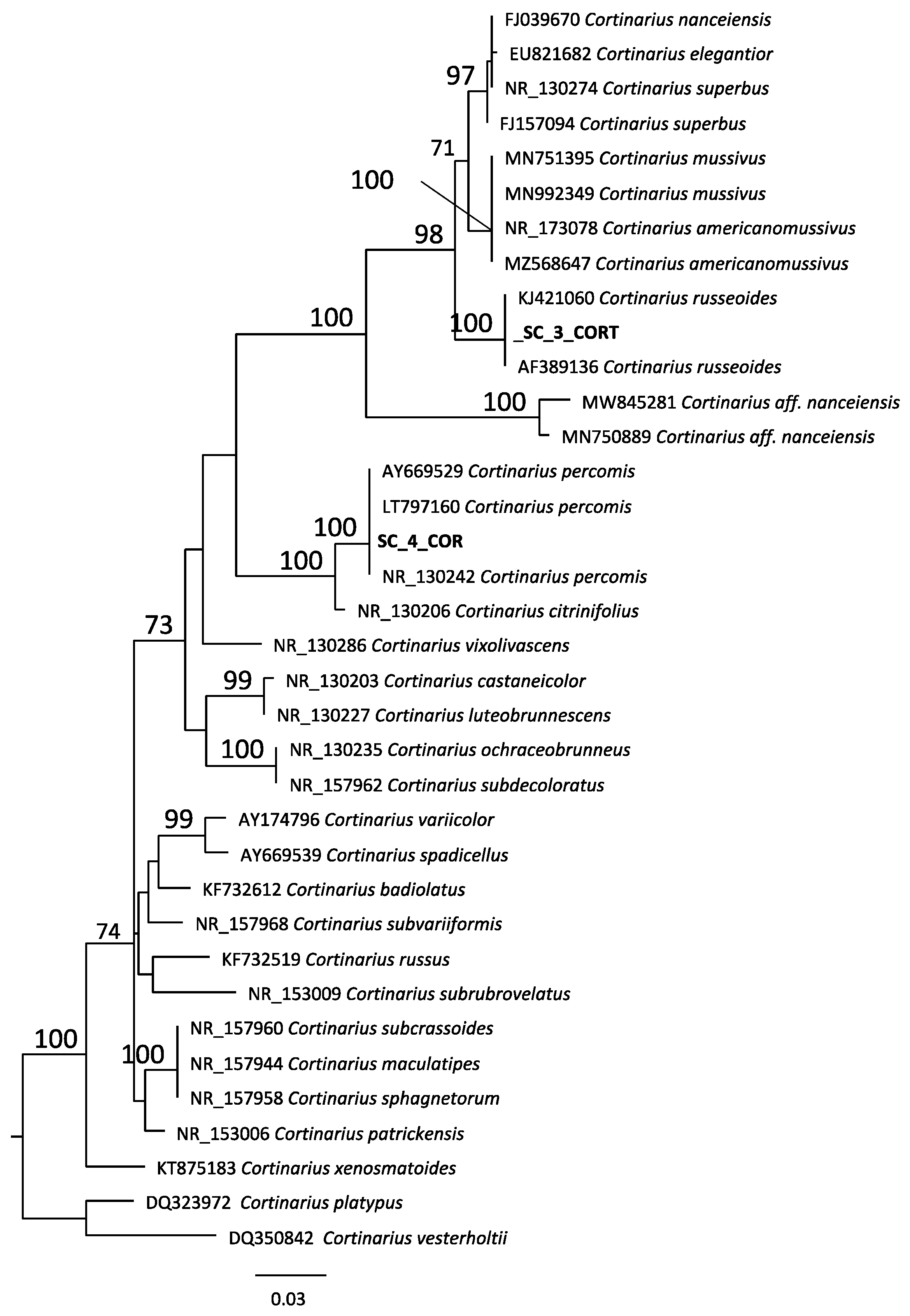 Antibiotics 10 01424 g002