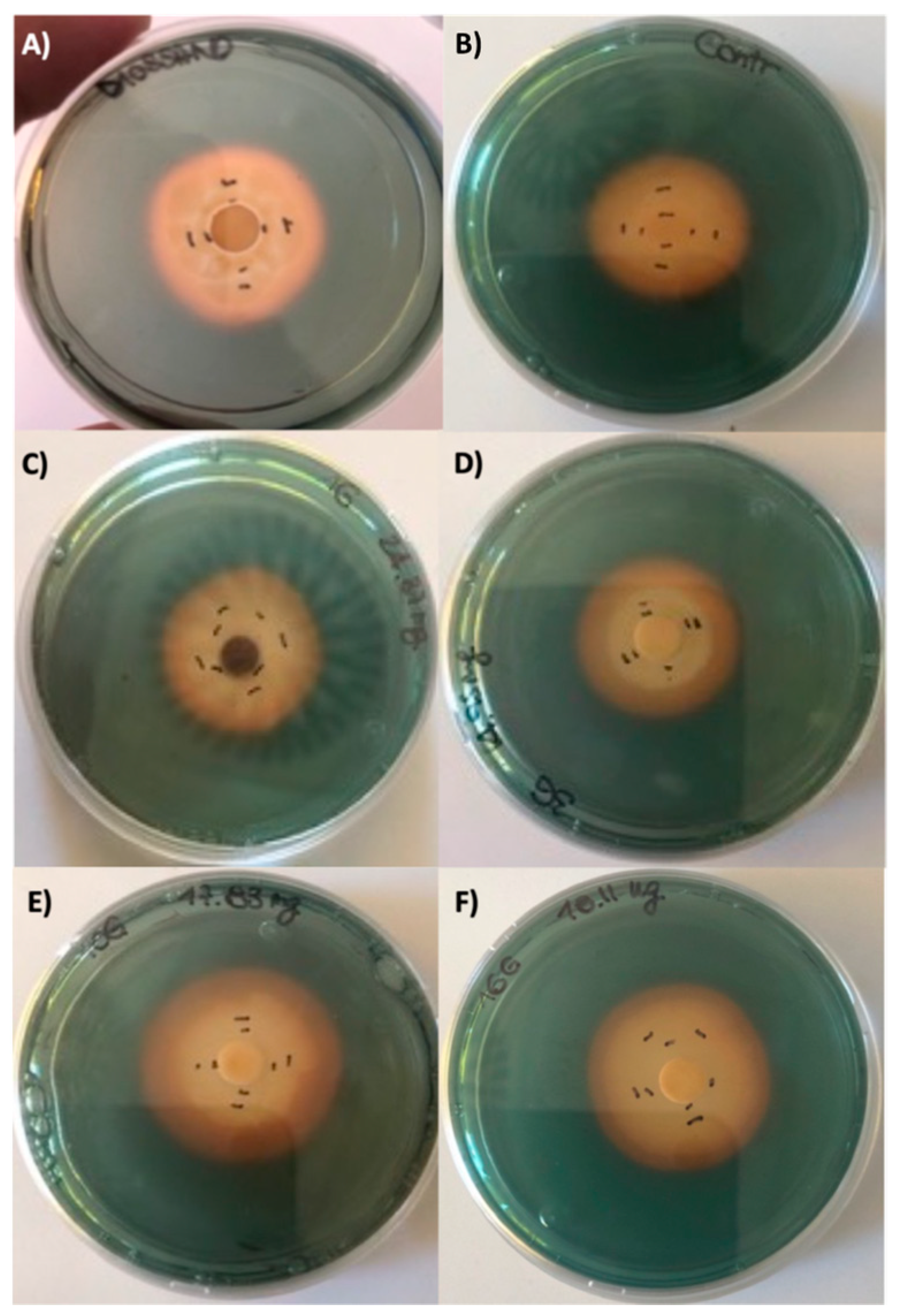 Antibiotics 10 01424 g006