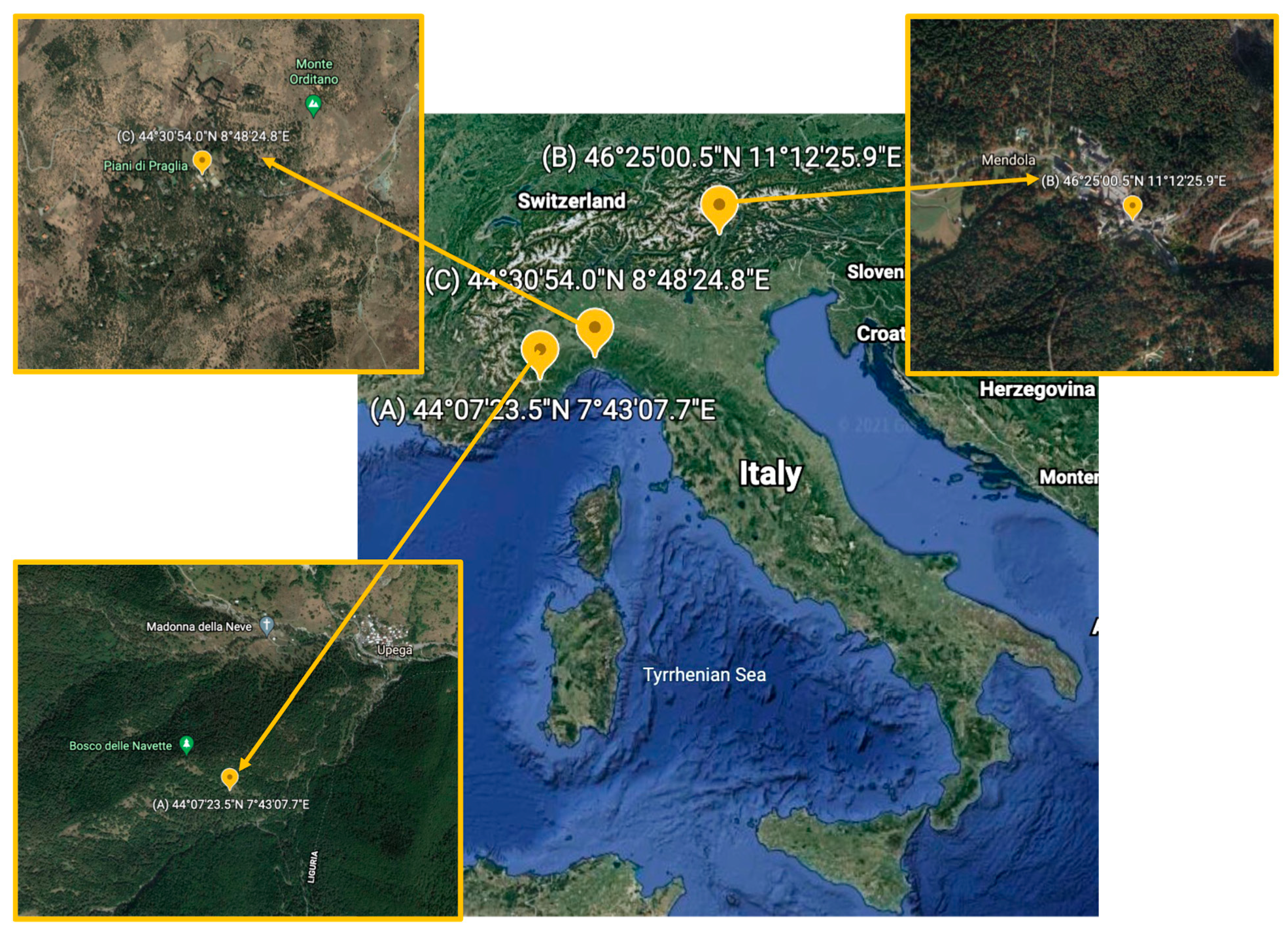 Antibiotics 10 01424 g007