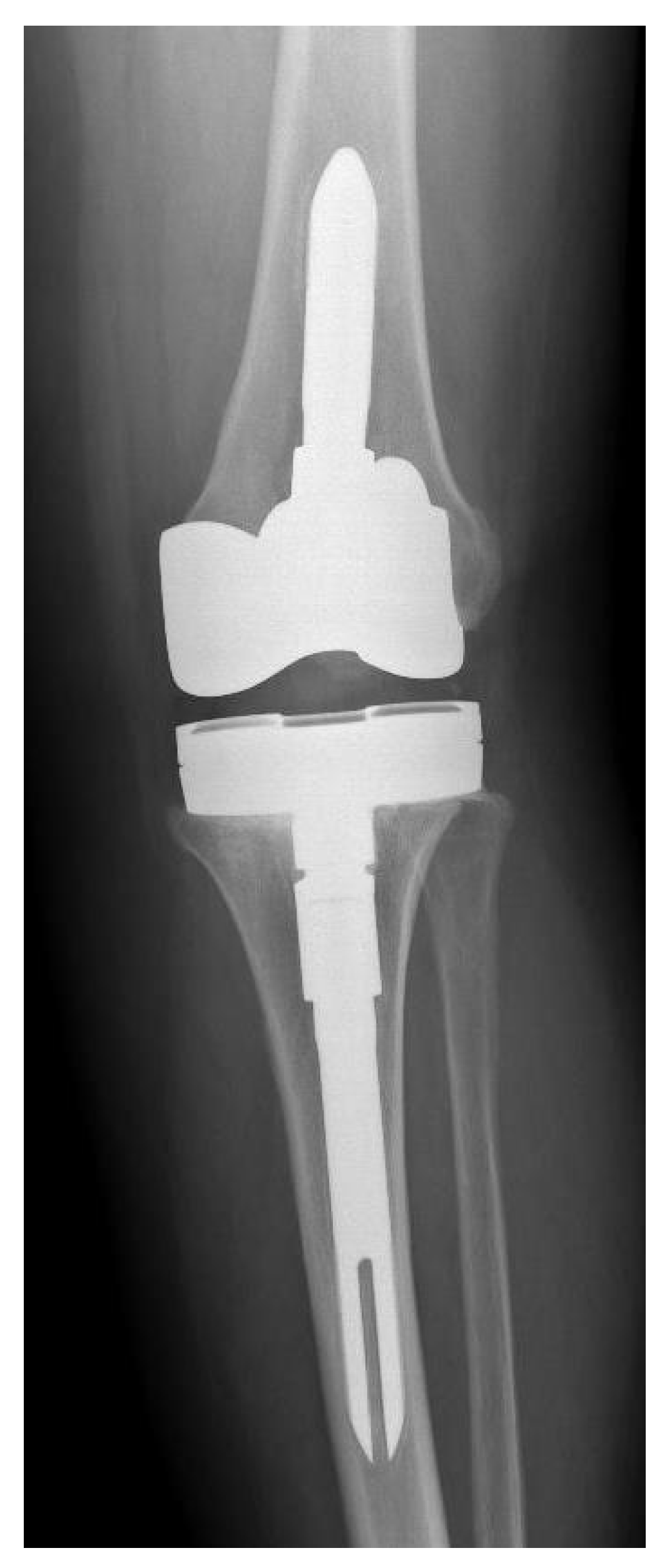 Antibiotics 10 01436 g002 Antibiotics 10 01436 g002