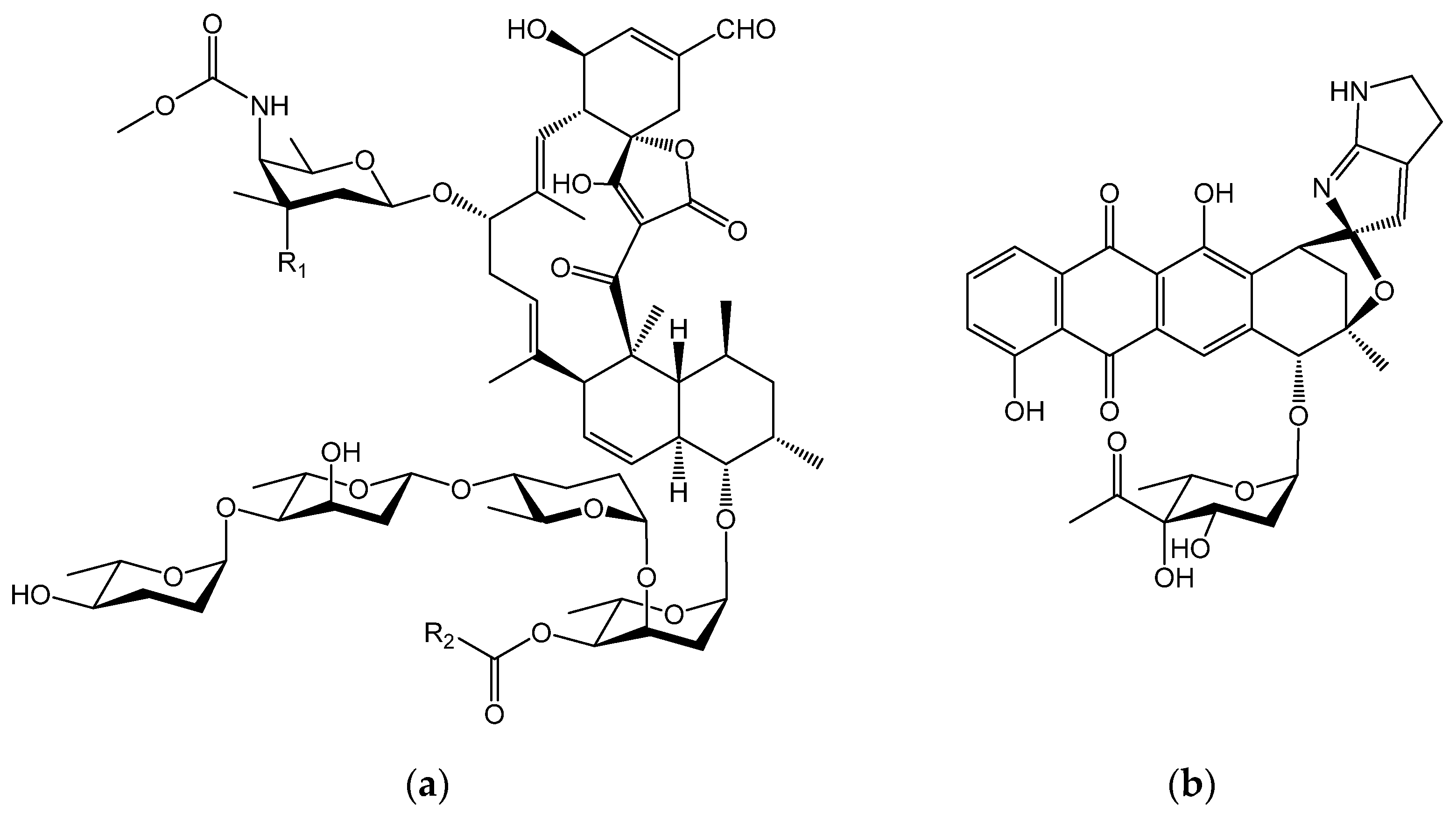 Antibiotics 10 01447 g001