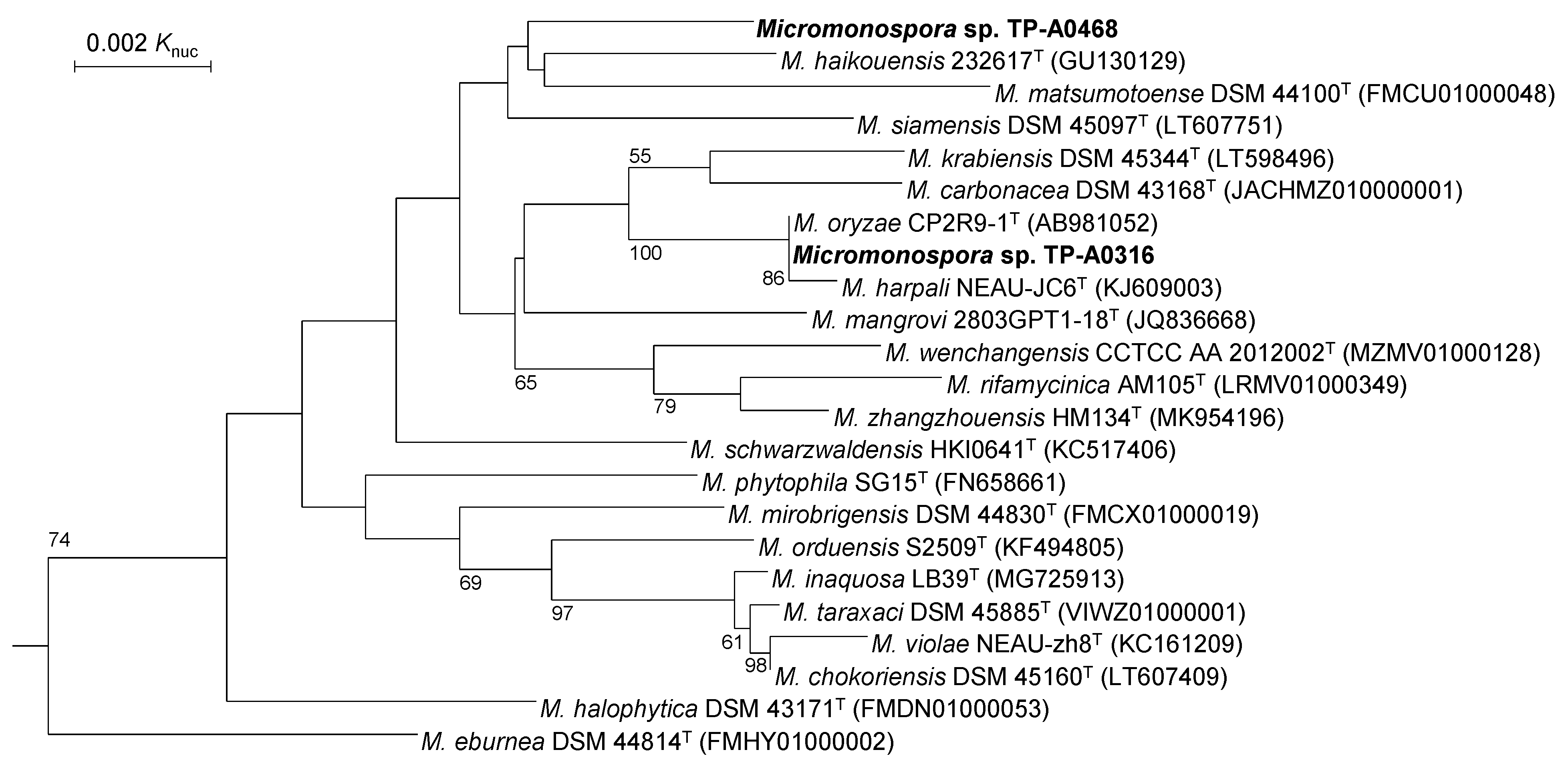 Antibiotics 10 01447 g002