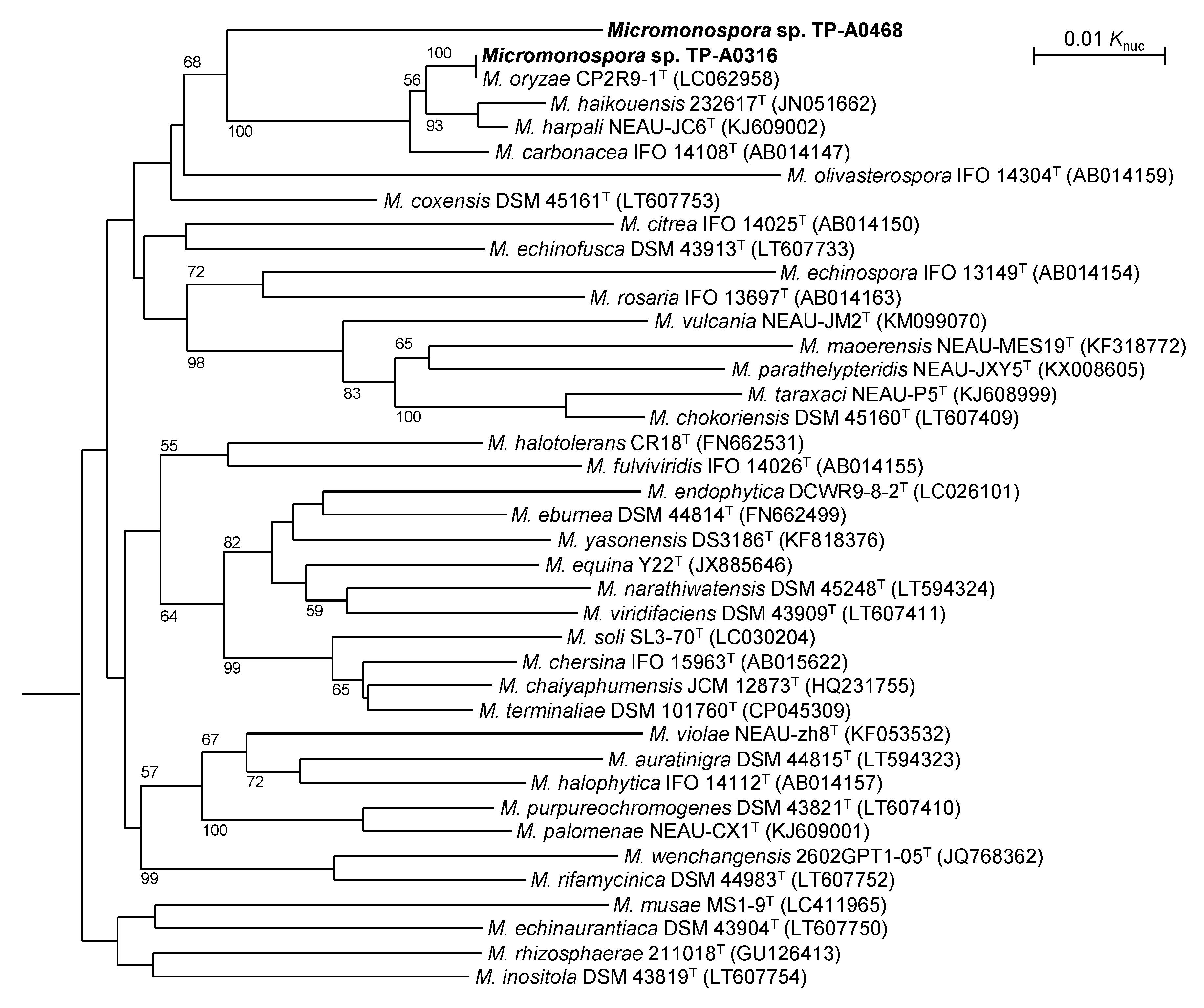 Antibiotics 10 01447 g003