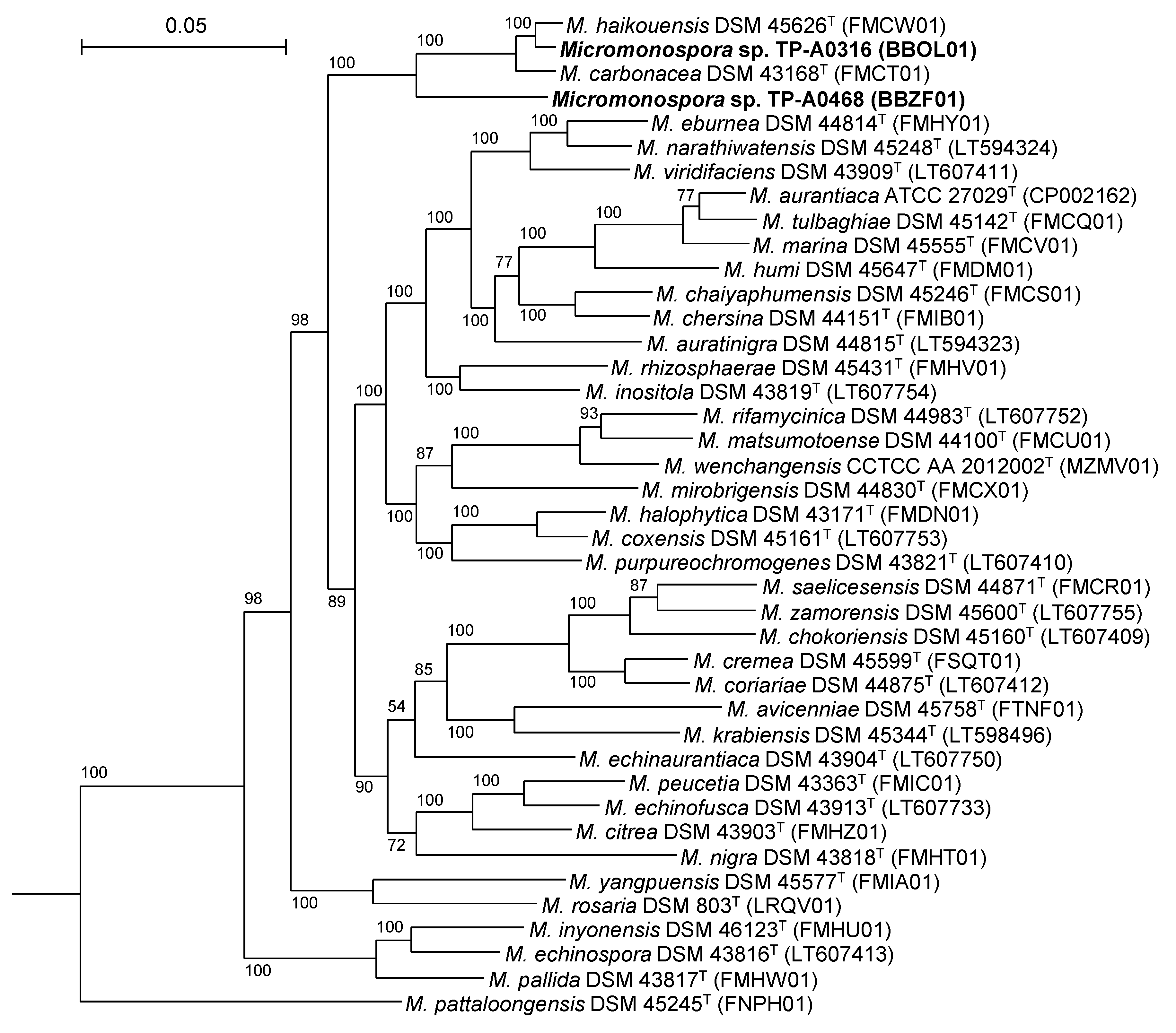 Antibiotics 10 01447 g004