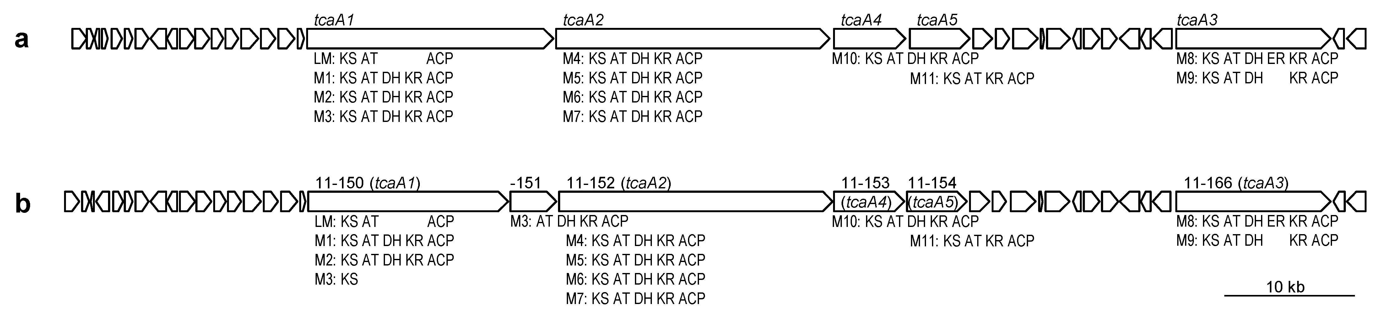 Antibiotics 10 01447 g005