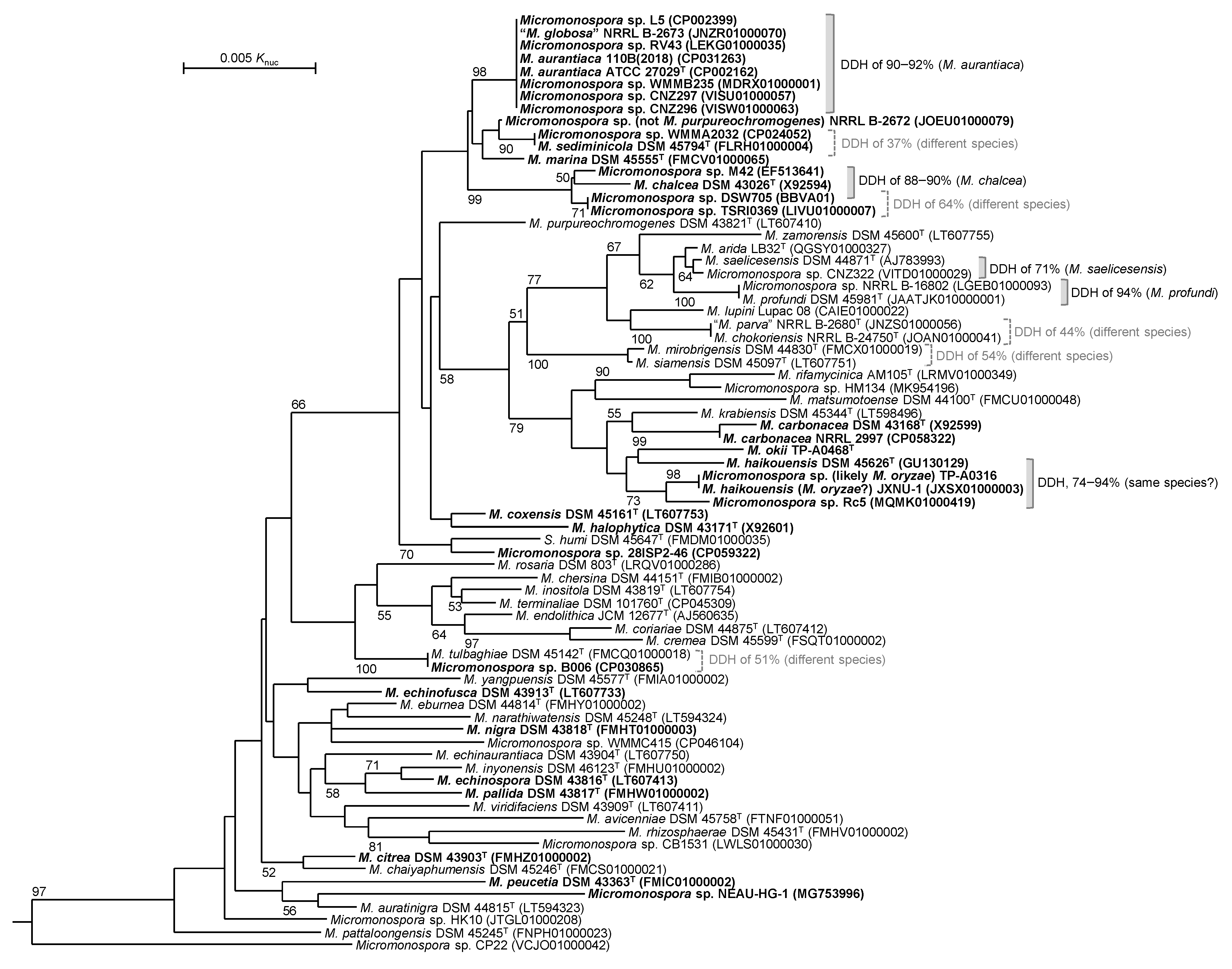 Antibiotics 10 01447 g006