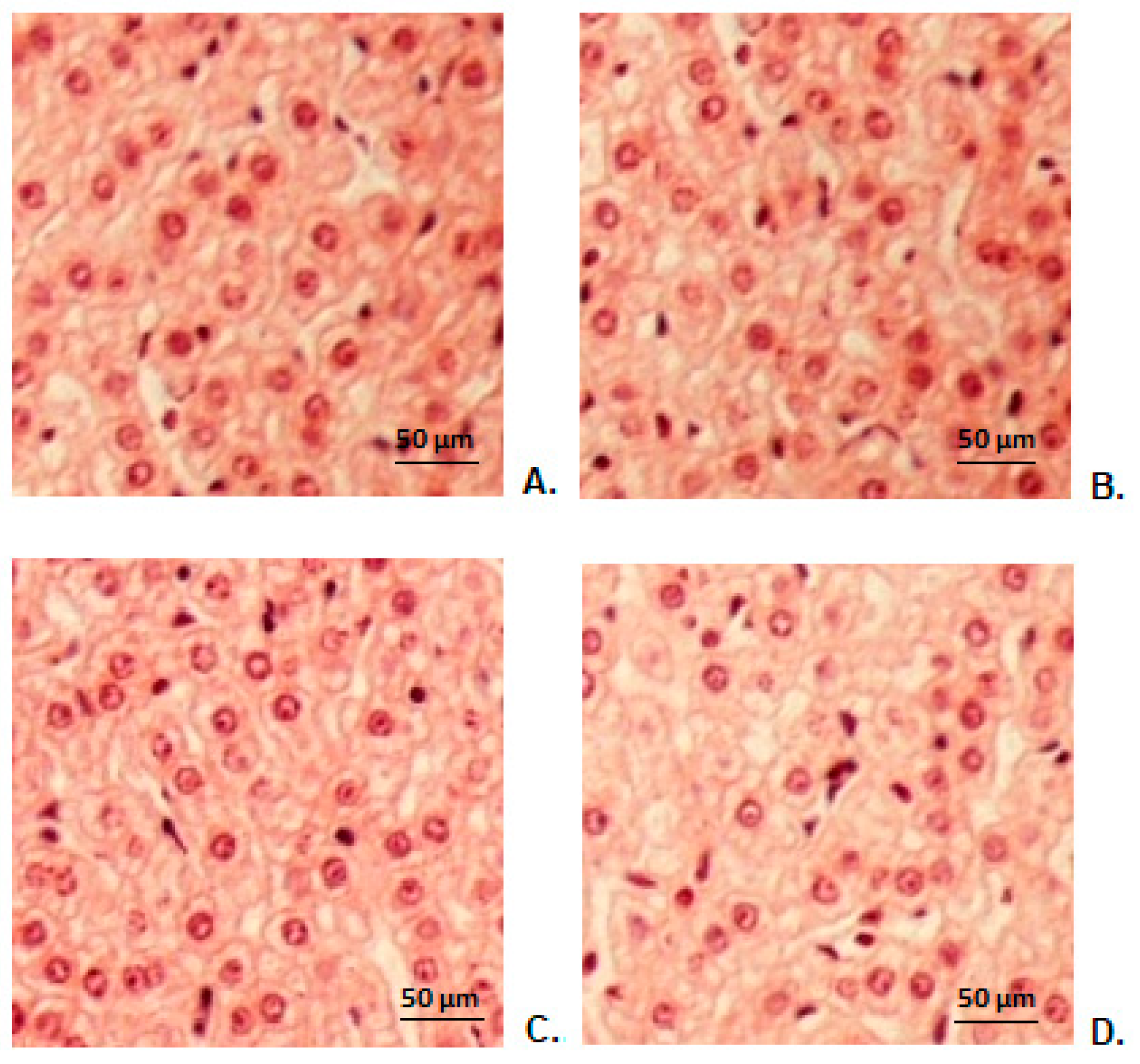 Antibiotics 10 01471 g005
