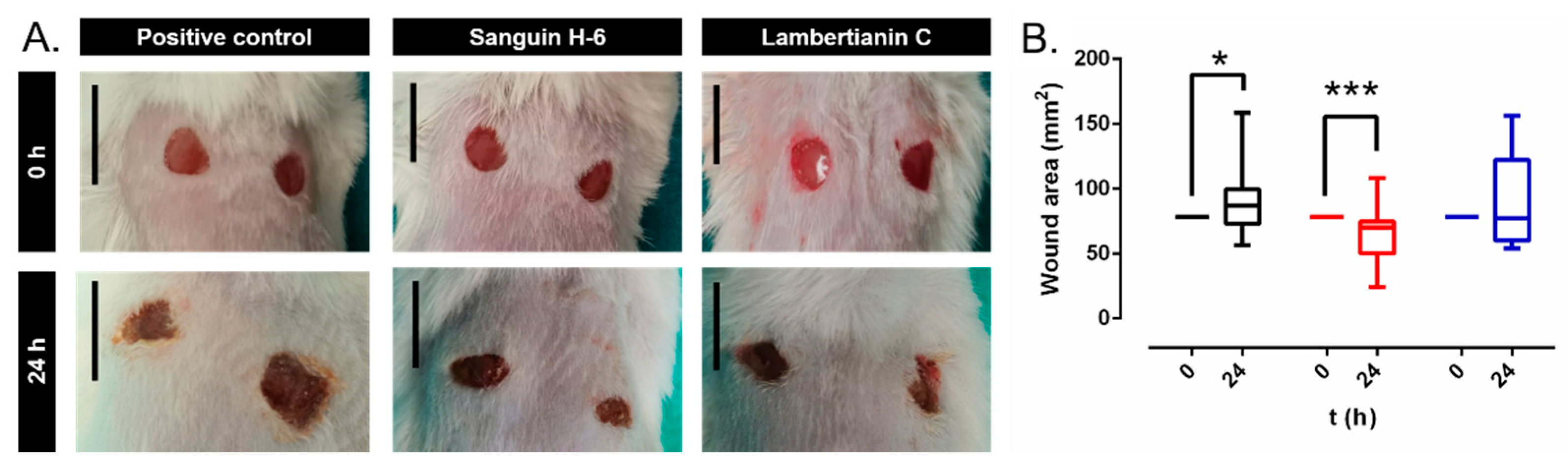 Antibiotics 10 01481 g008