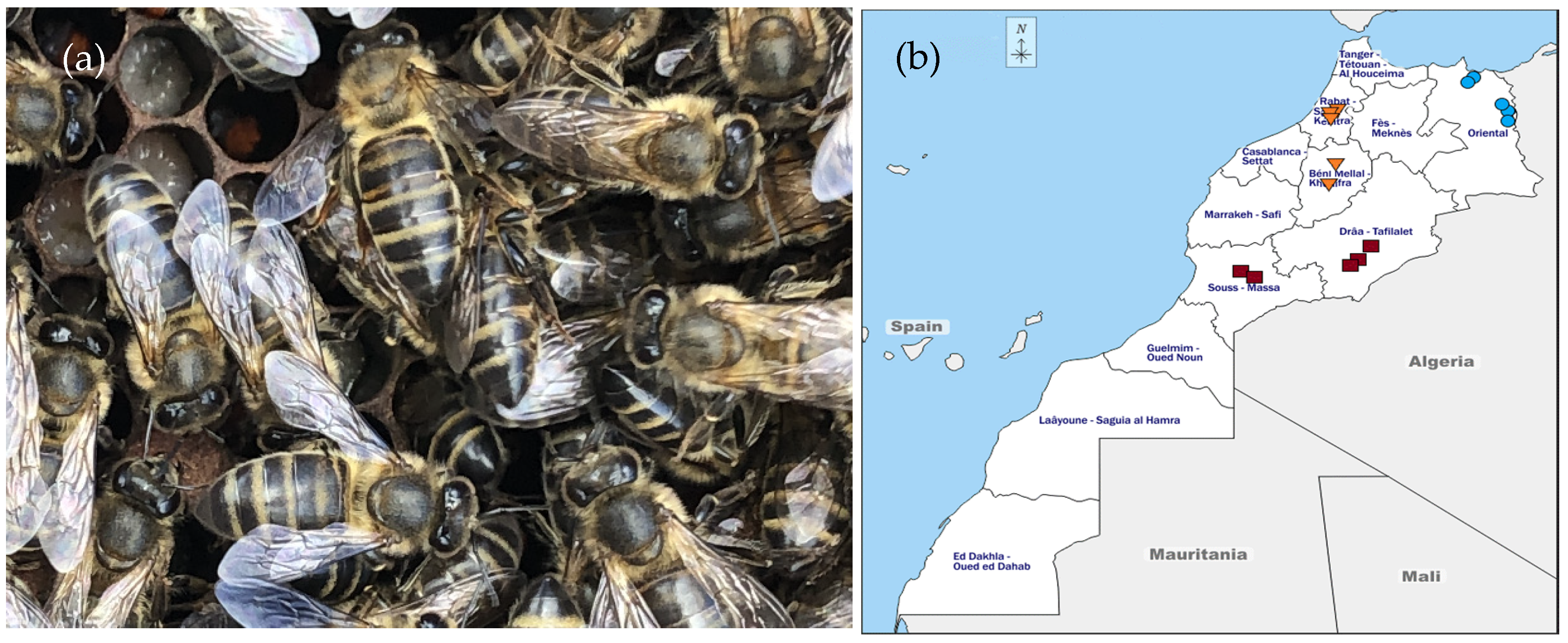 Antibiotics 10 01514 g001