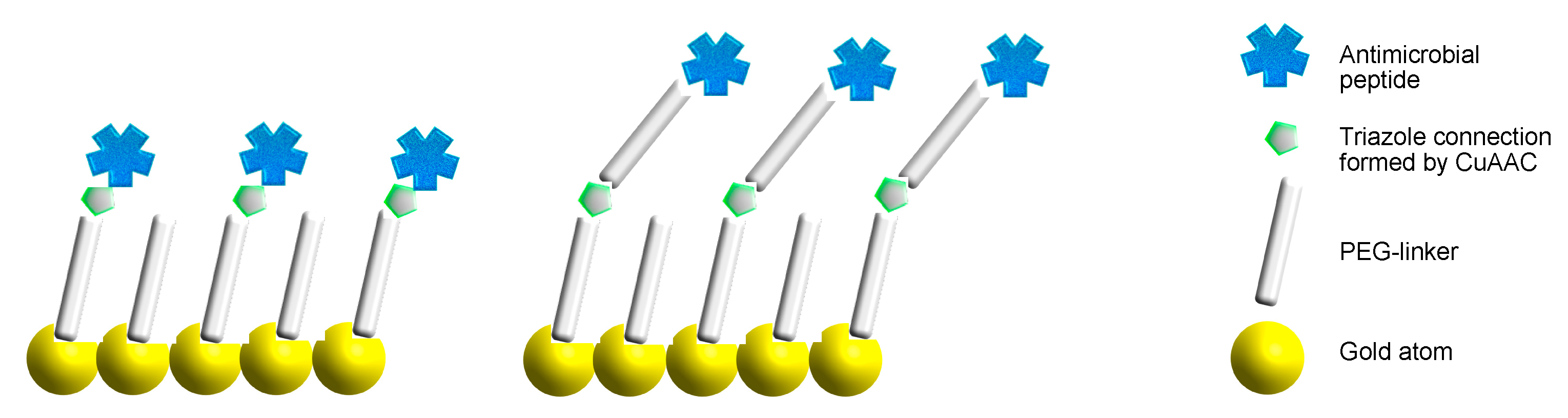 Antibiotics 10 01516 g001