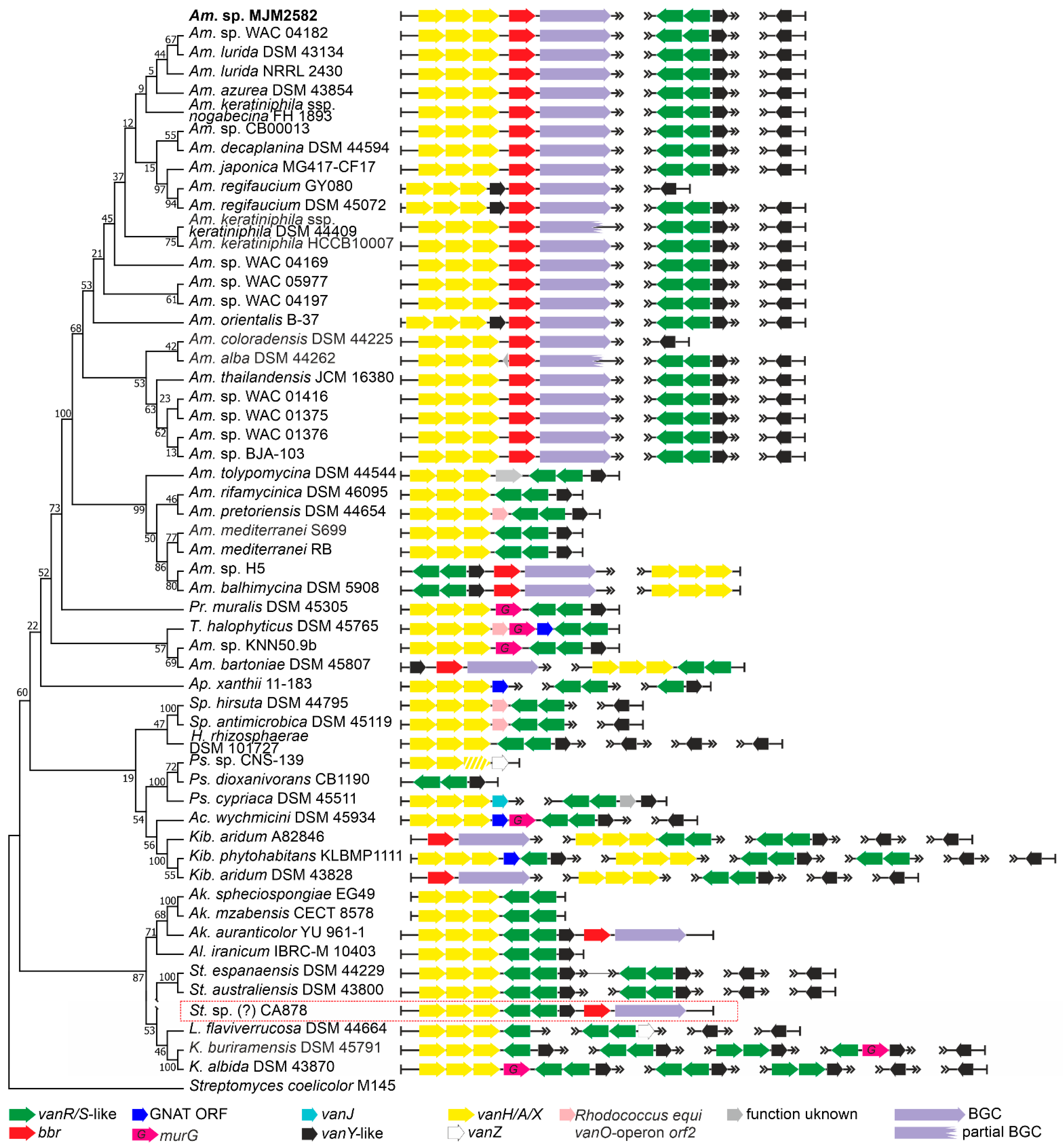 Antibiotics 10 01533 g002 Antibiotics 10 01533 g002