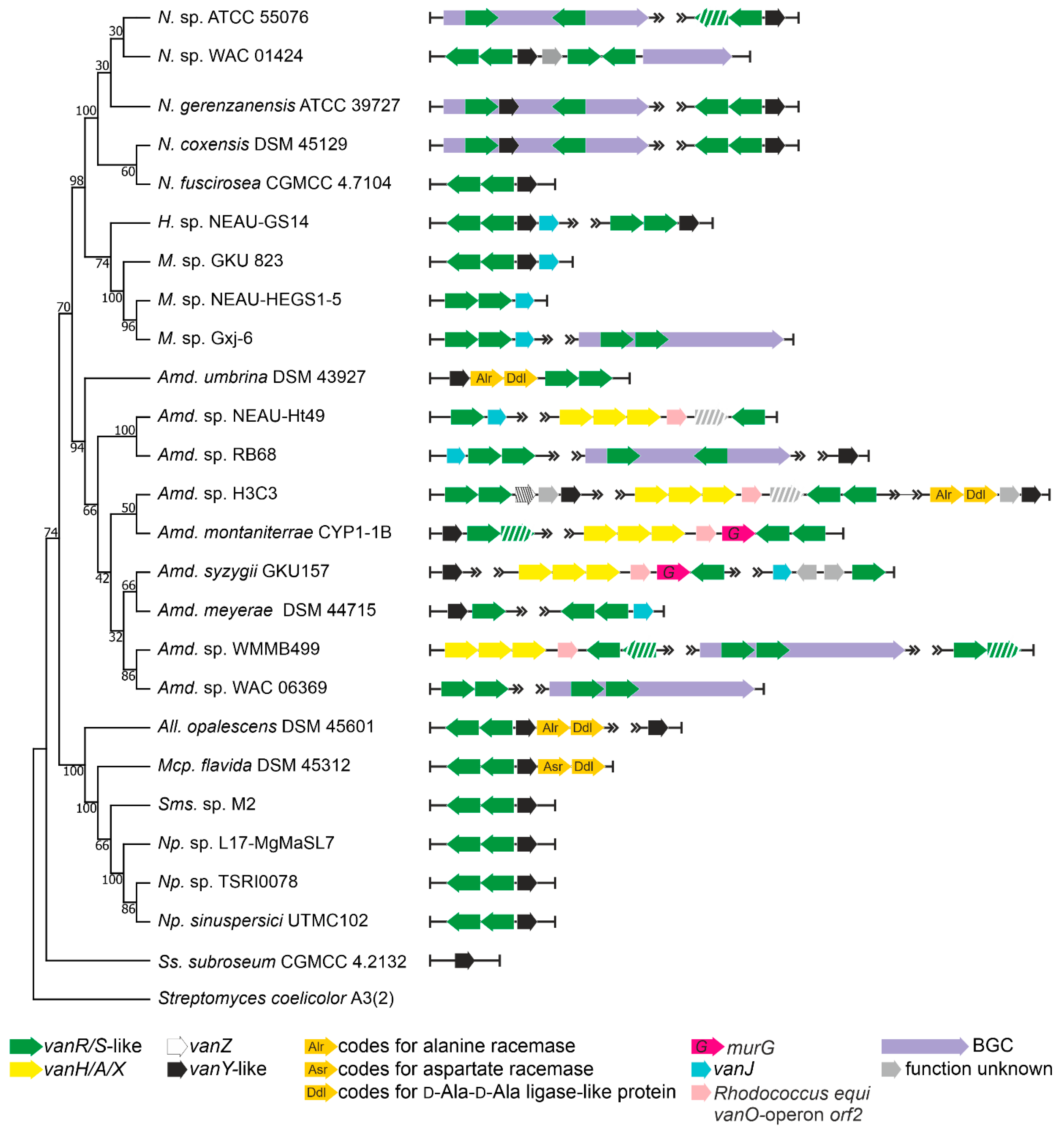 Antibiotics 10 01533 g003 Antibiotics 10 01533 g003