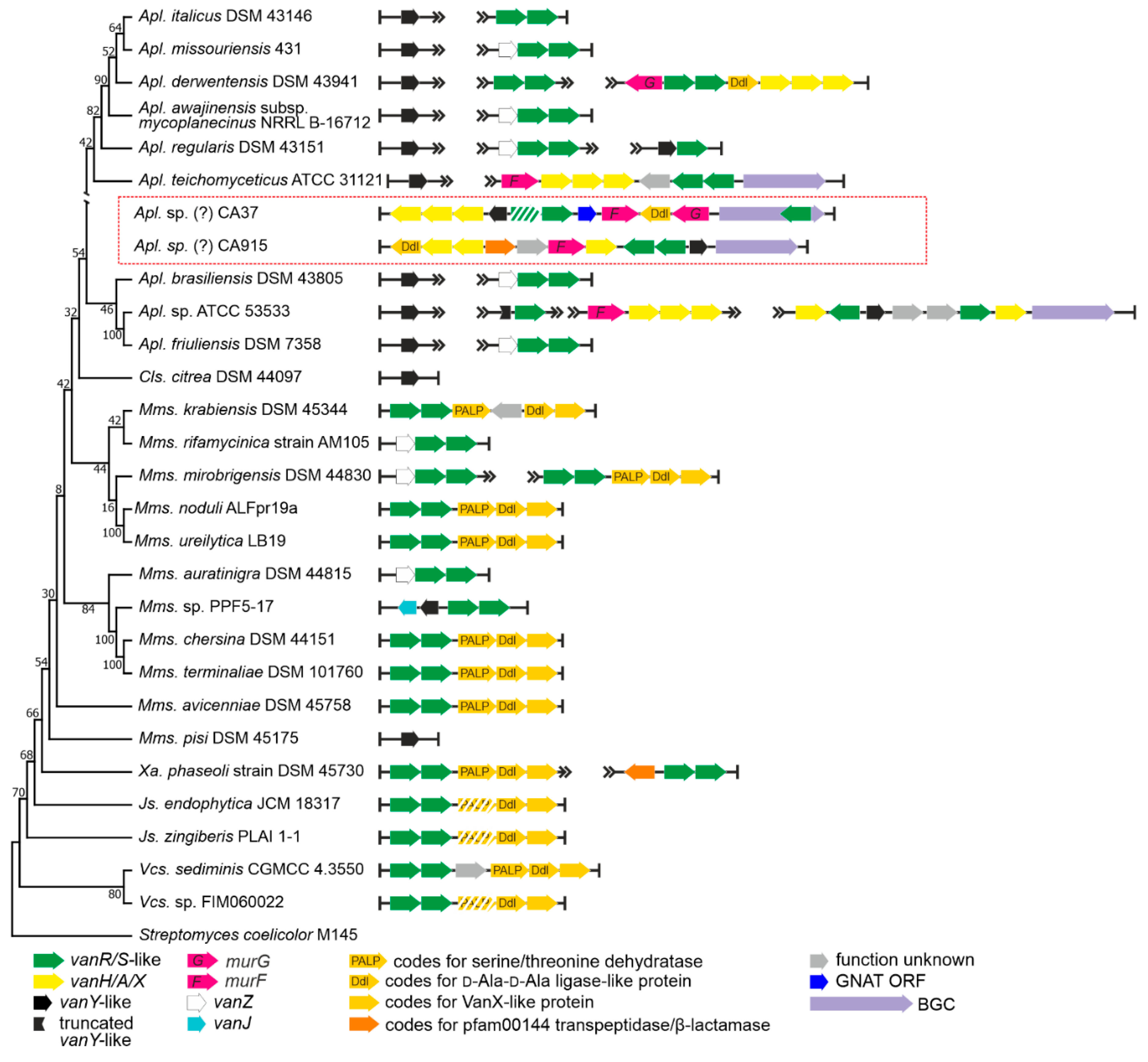 Antibiotics 10 01533 g004 Antibiotics 10 01533 g004