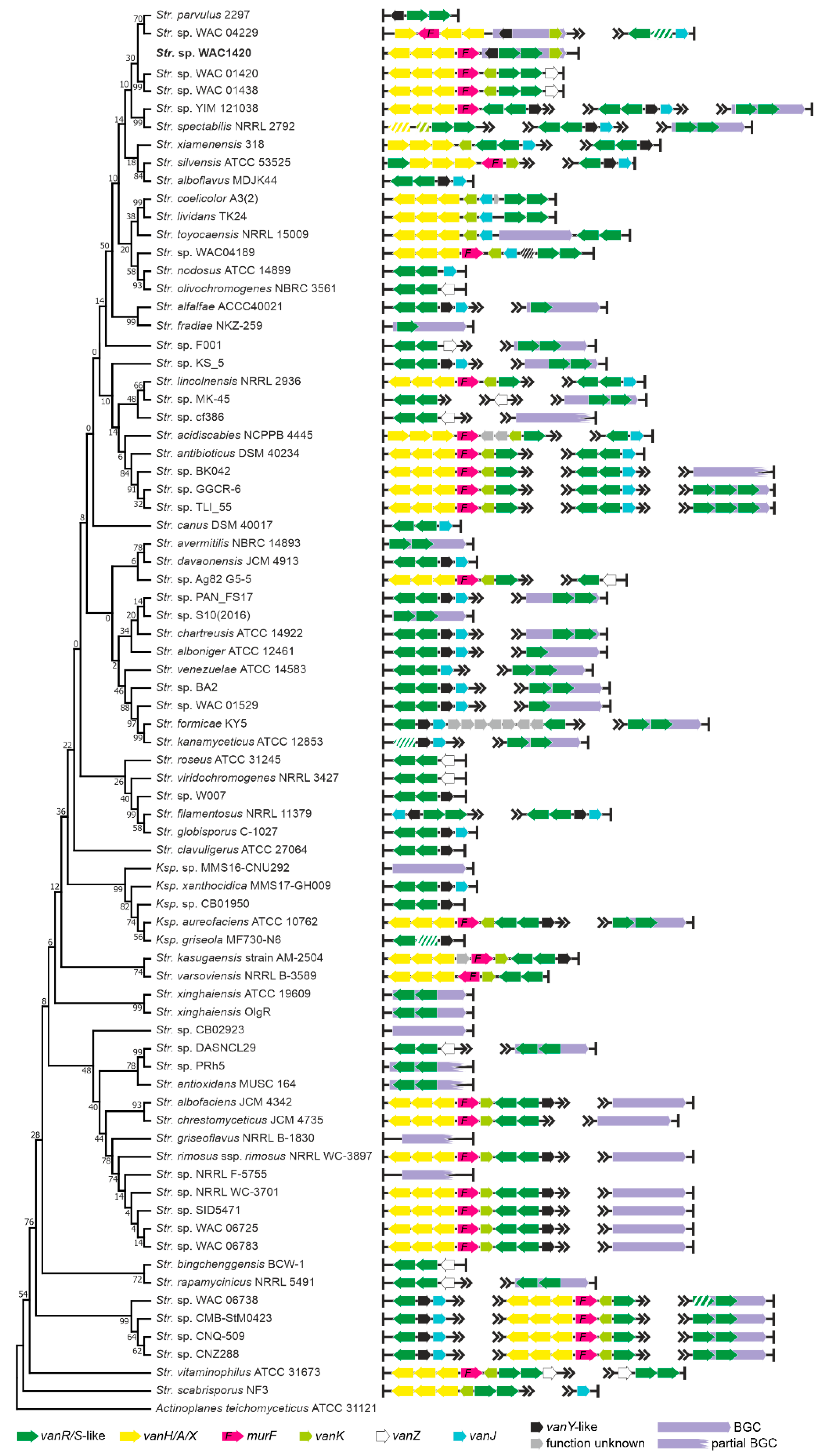 Antibiotics 10 01533 g005 Antibiotics 10 01533 g005