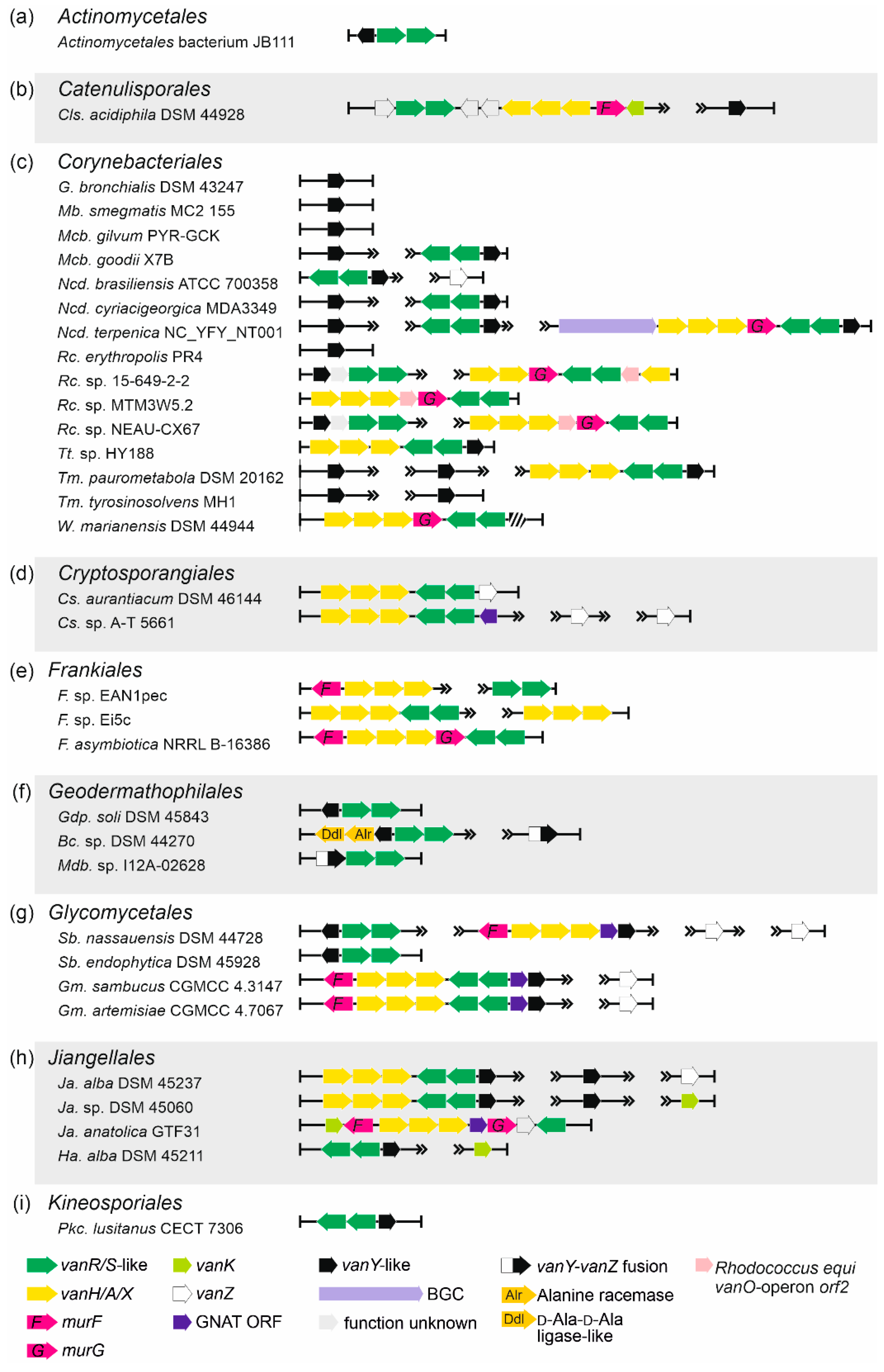 Antibiotics 10 01533 g006 Antibiotics 10 01533 g006
