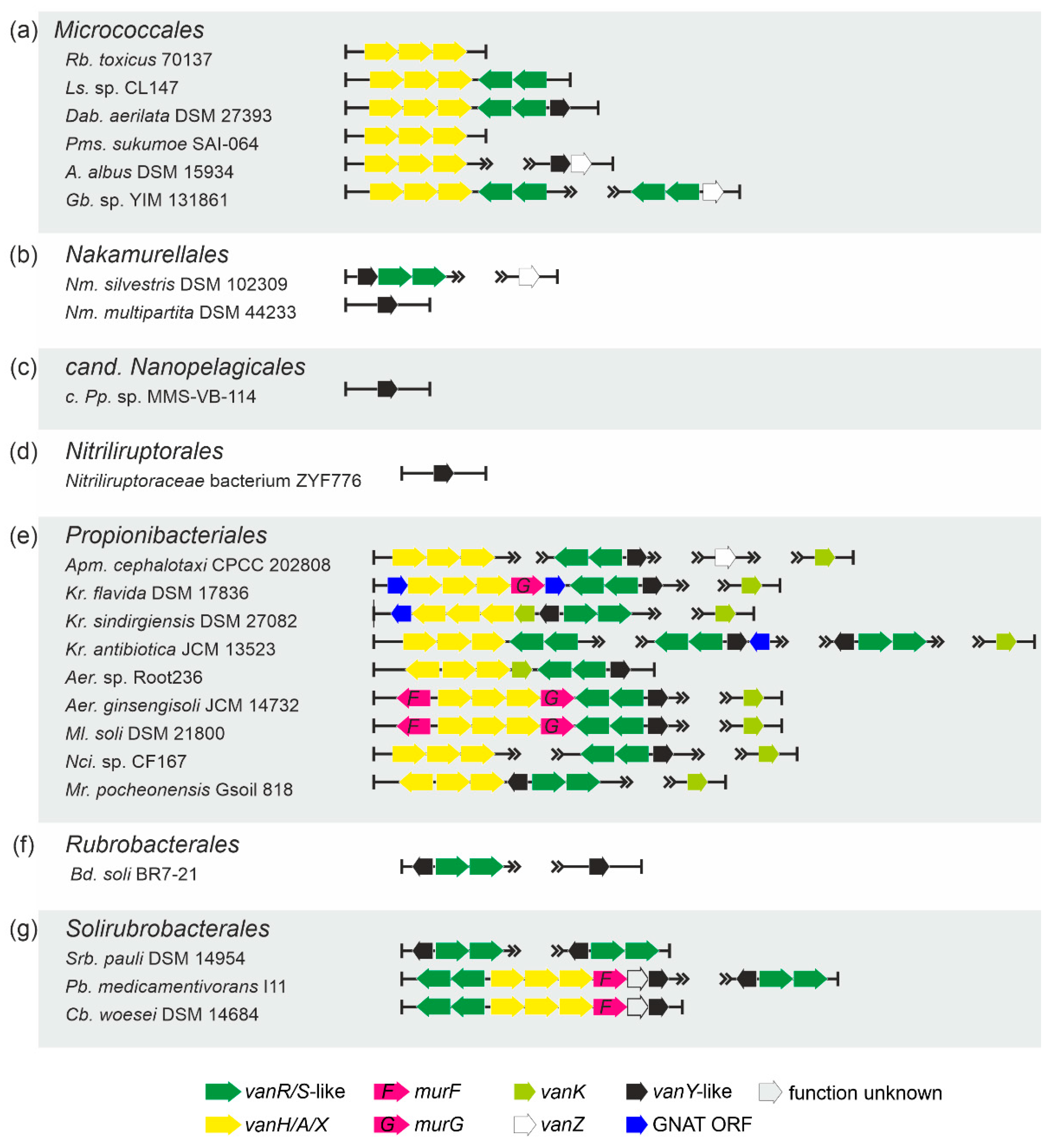 Antibiotics 10 01533 g007 Antibiotics 10 01533 g007