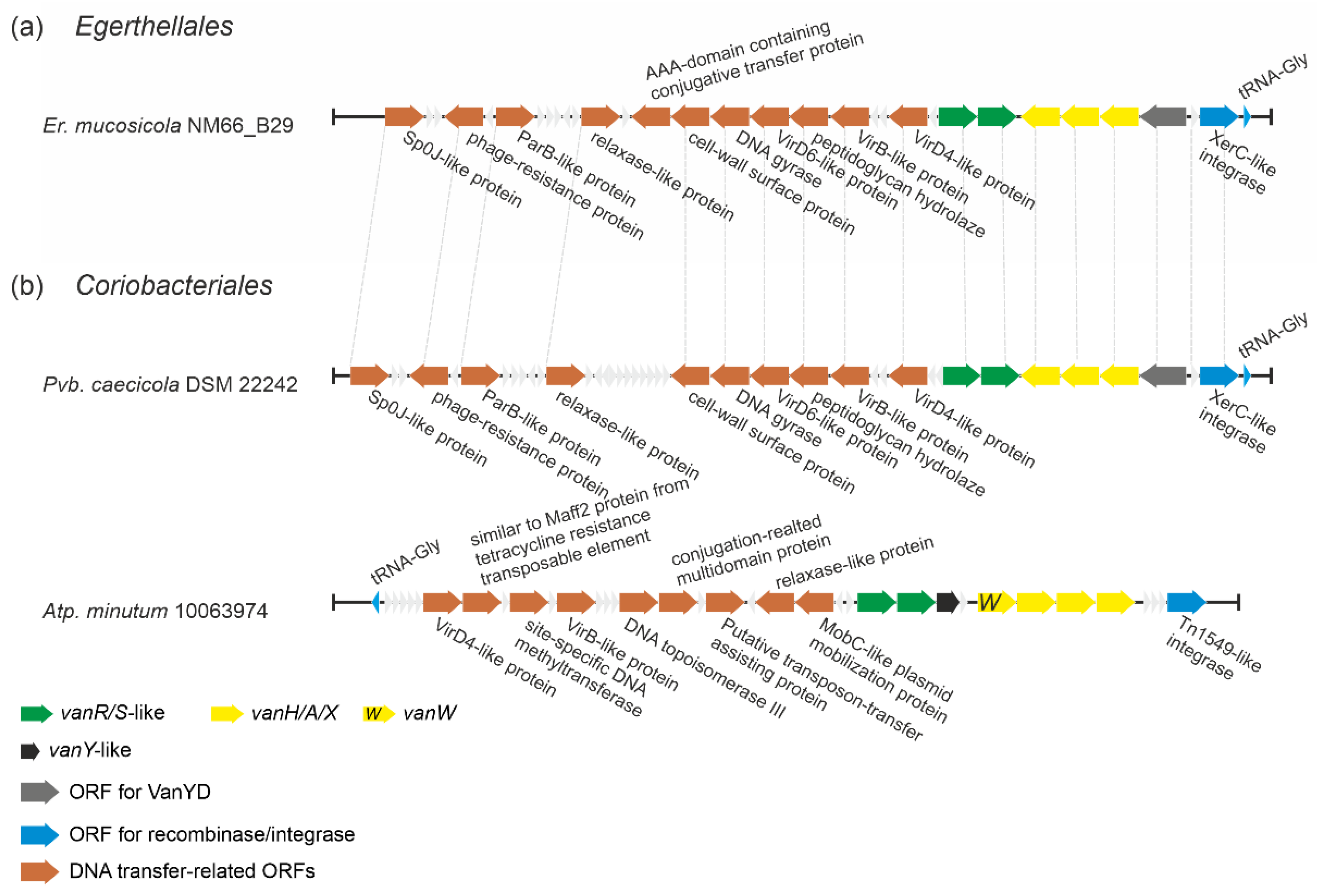 Antibiotics 10 01533 g008 Antibiotics 10 01533 g008
