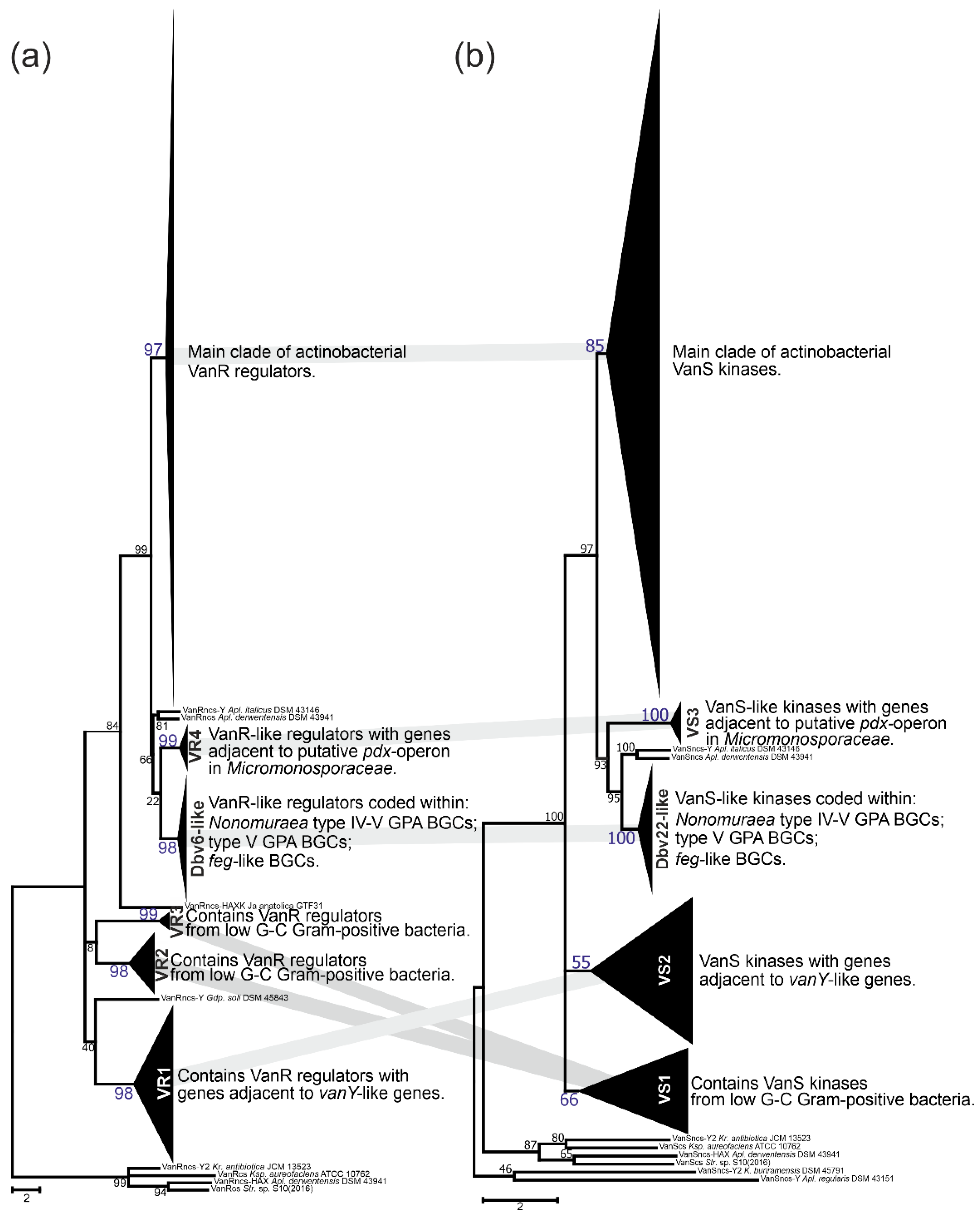 Antibiotics 10 01533 g011 Antibiotics 10 01533 g011