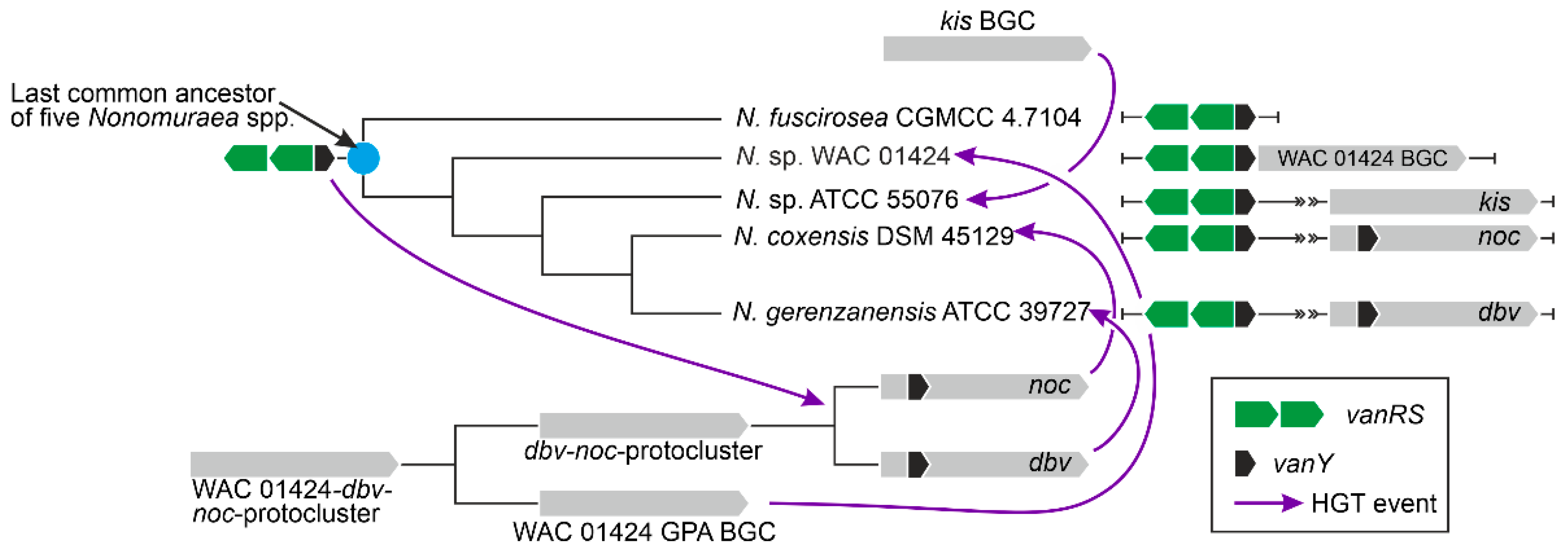 Antibiotics 10 01533 g012 Antibiotics 10 01533 g012